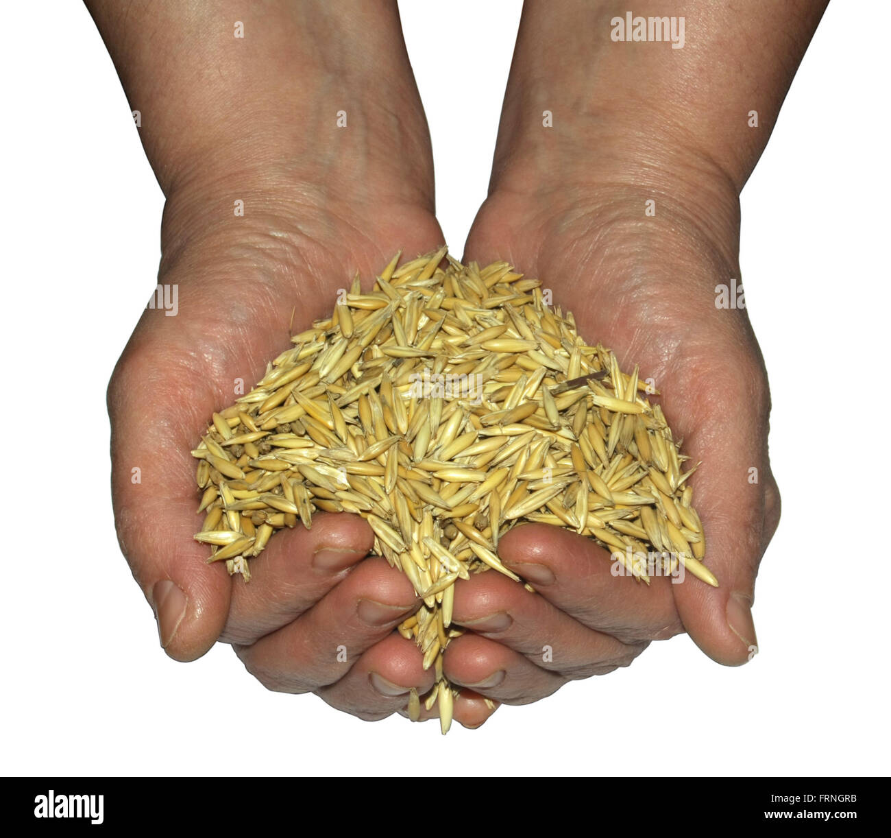 handful of oats isolated on white background Stock Photo