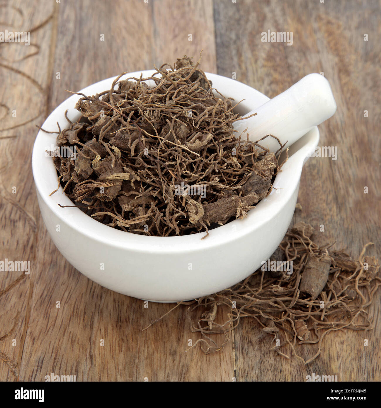 Black cohosh root herb used in natural alternative herbal medicine over