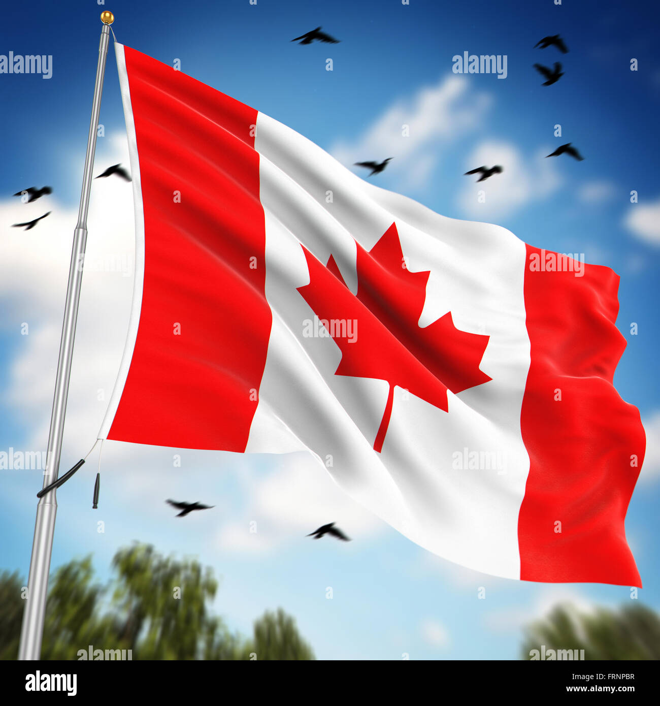 Flag of Canada , This is a computer generated and 3d rendered image. Stock Photo