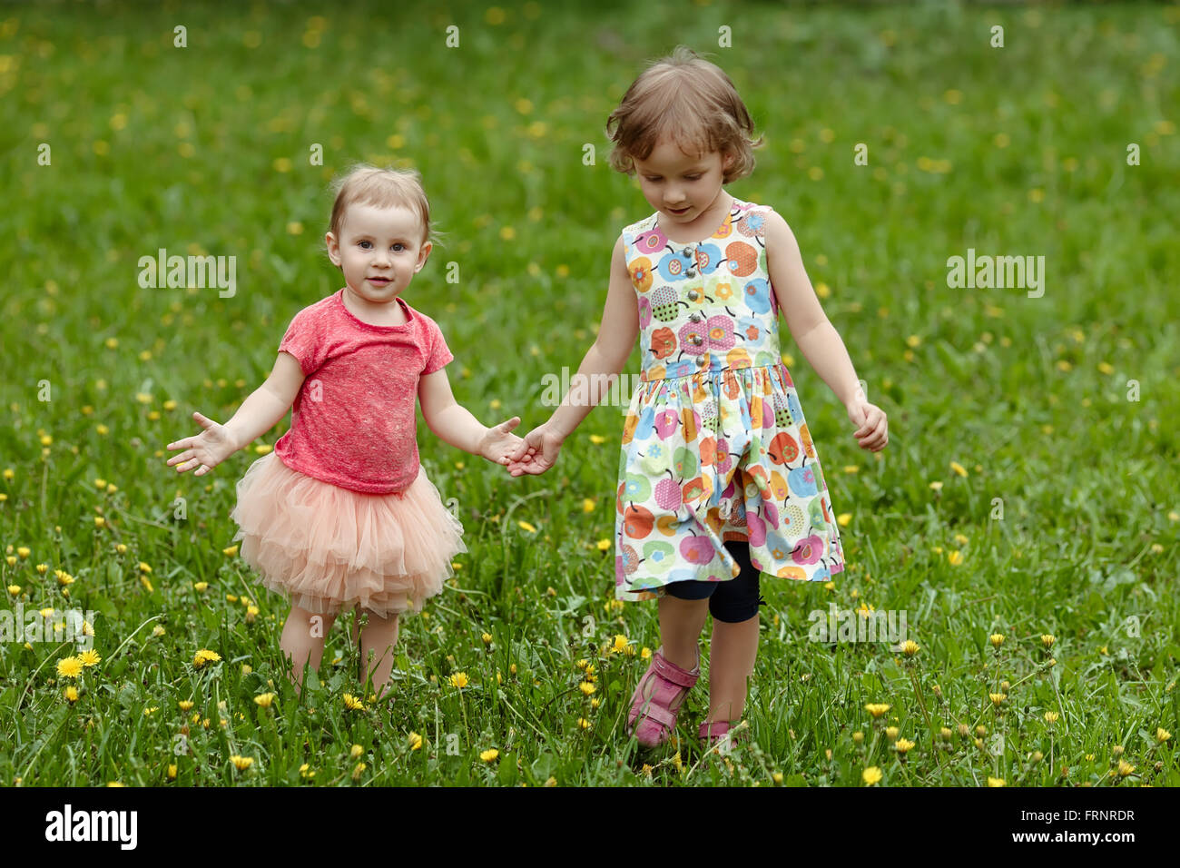 Sisters walking across the field with dandelions Stock Photo