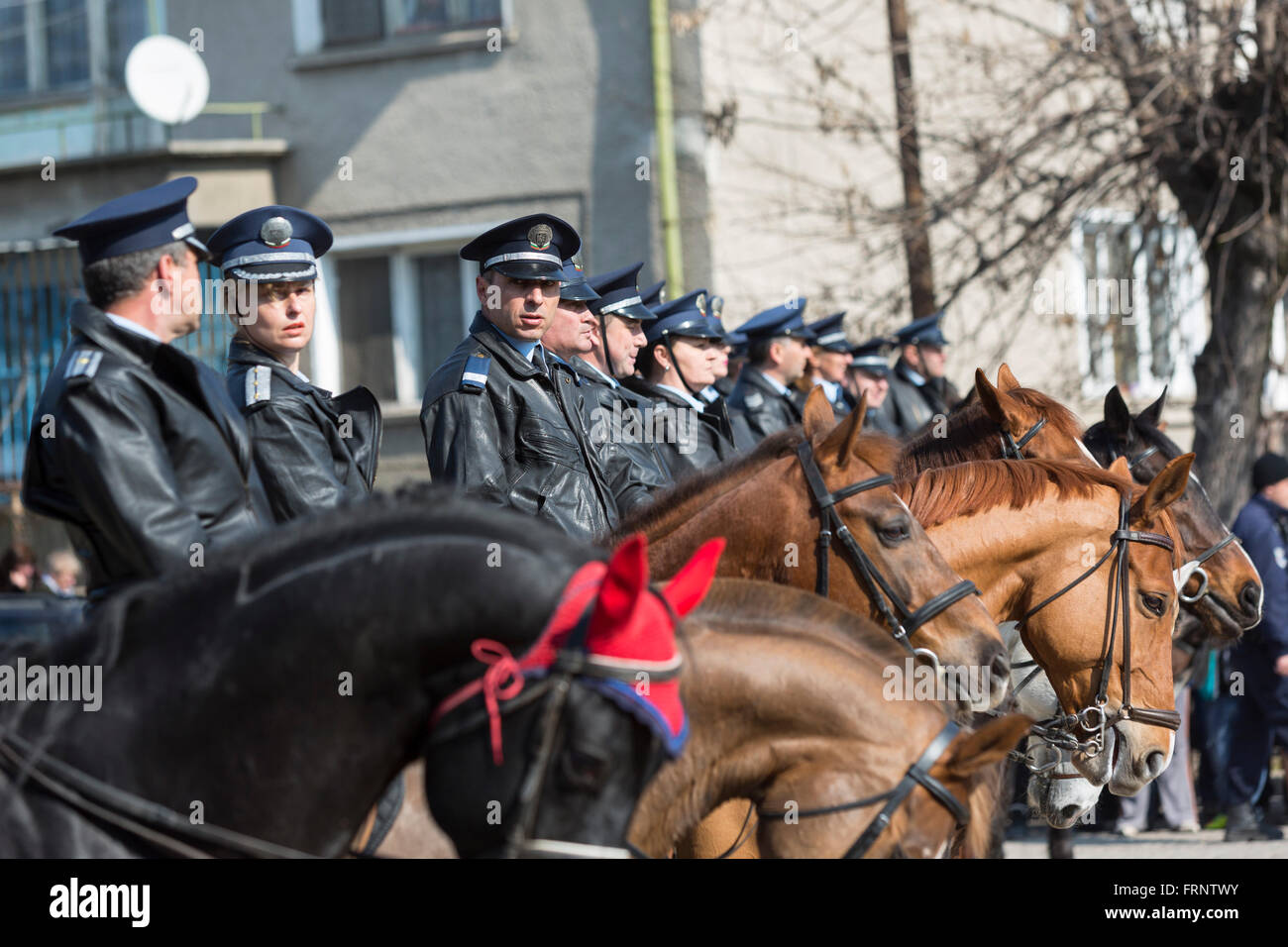 Sofia, Bulgaria - March 19, 2016: Policemen and policewomen from Horse police unit are participating in a parade at Saint Theodo Stock Photo