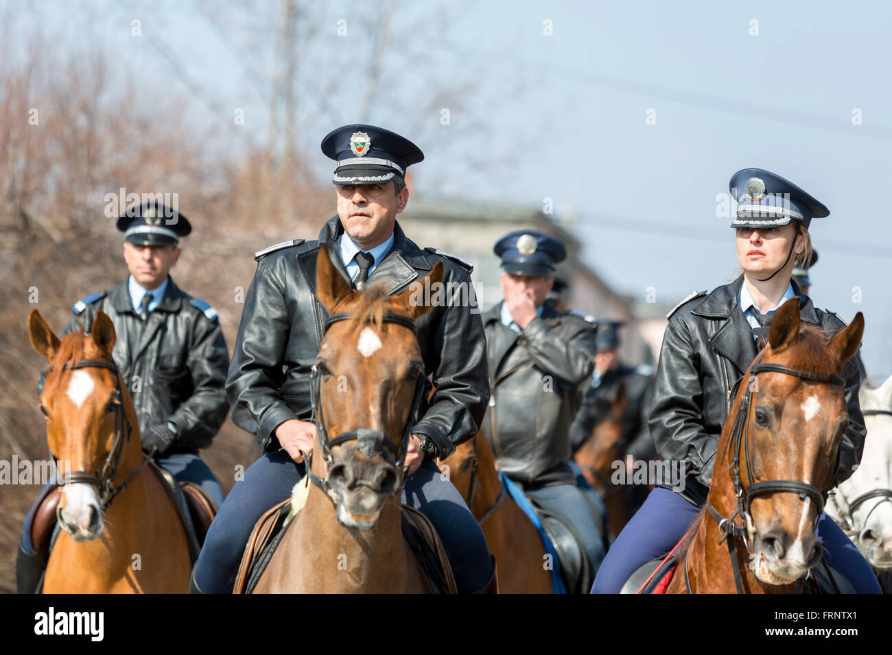 Sofia, Bulgaria - March 19, 2016: Policemen and policewomen from Horse police unit are riding the animals while participating in Stock Photo