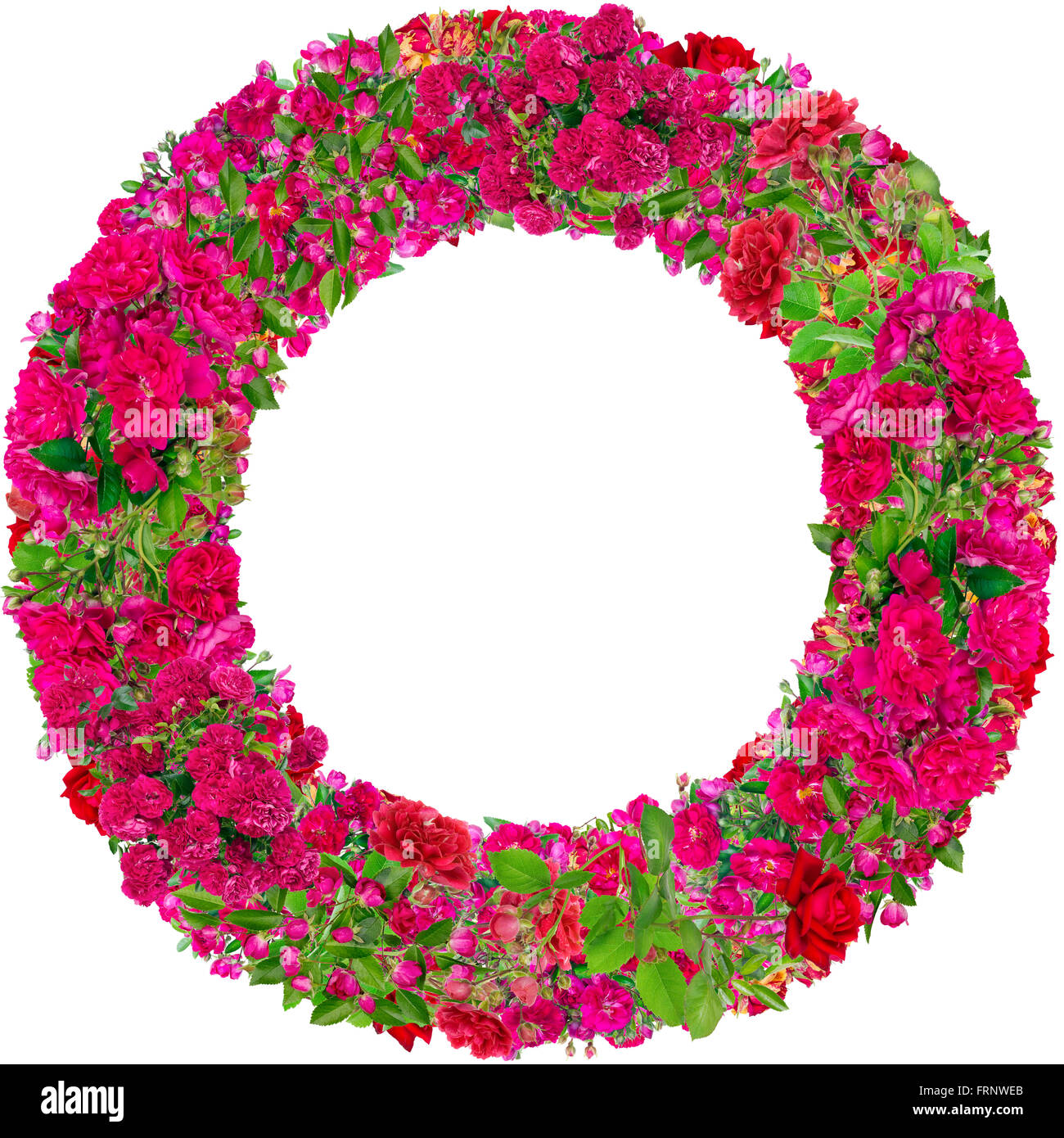 Round  photo frame made from pink summer roses branches buds and flowers. Abstract isolated collage Stock Photo