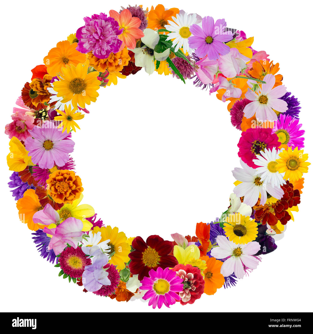 Round floral summer photo frame made from simple vivid fresh flowers. Isolated abstract collage Stock Photo