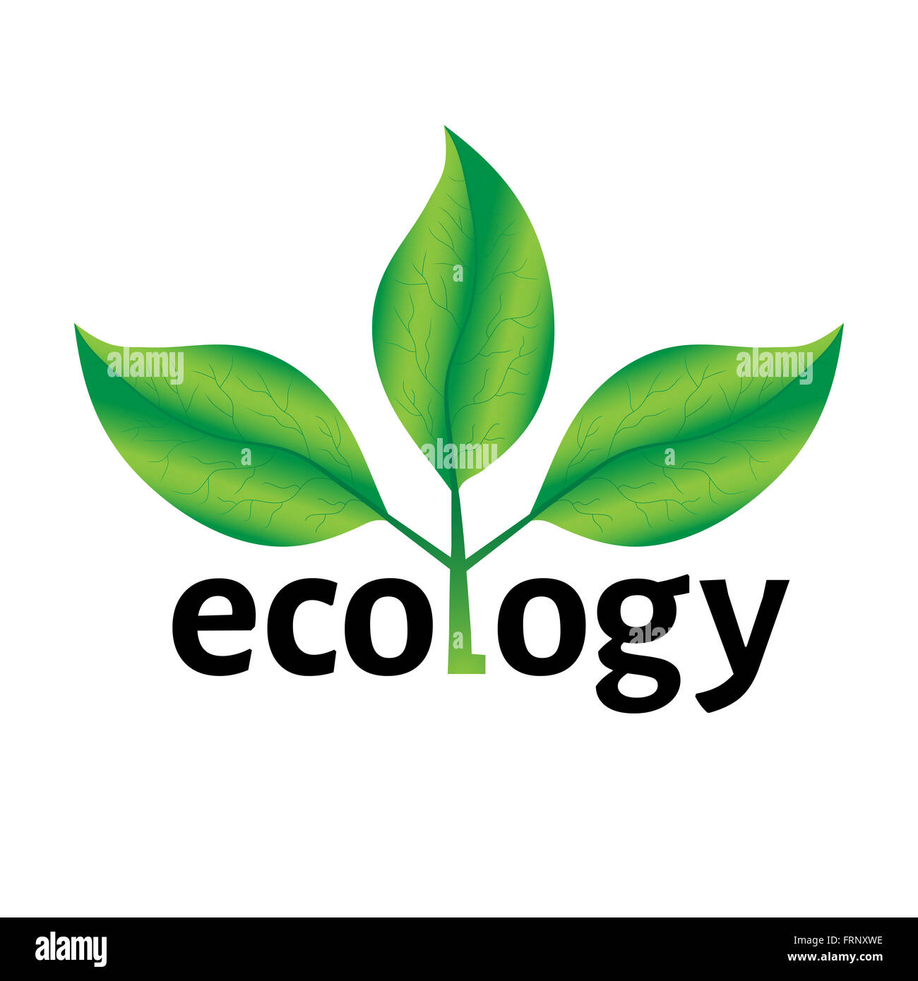 Ecological or environmental concept or logo. Green leaves on a tree with ecology text on a white background. Stock Photo
