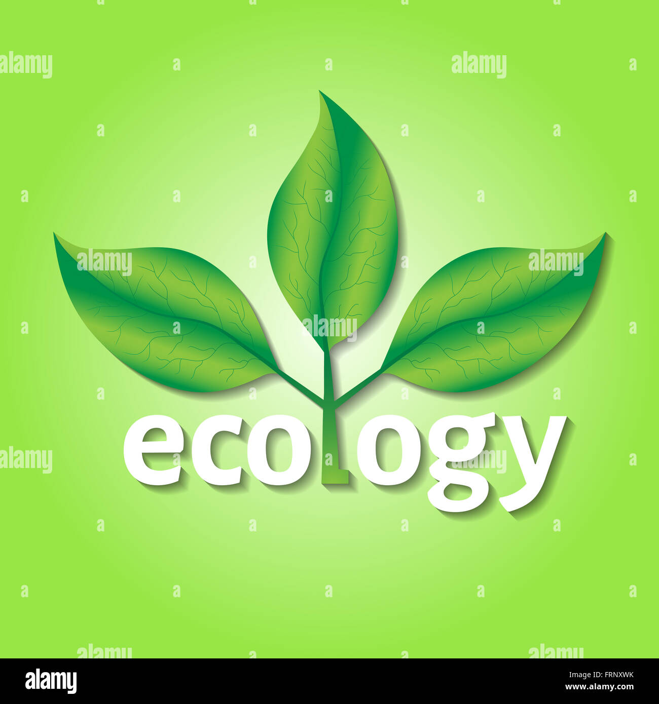 Ecological or environmental concept or logo. Green leaves on a tree with ecology white text on a green background. Stock Photo