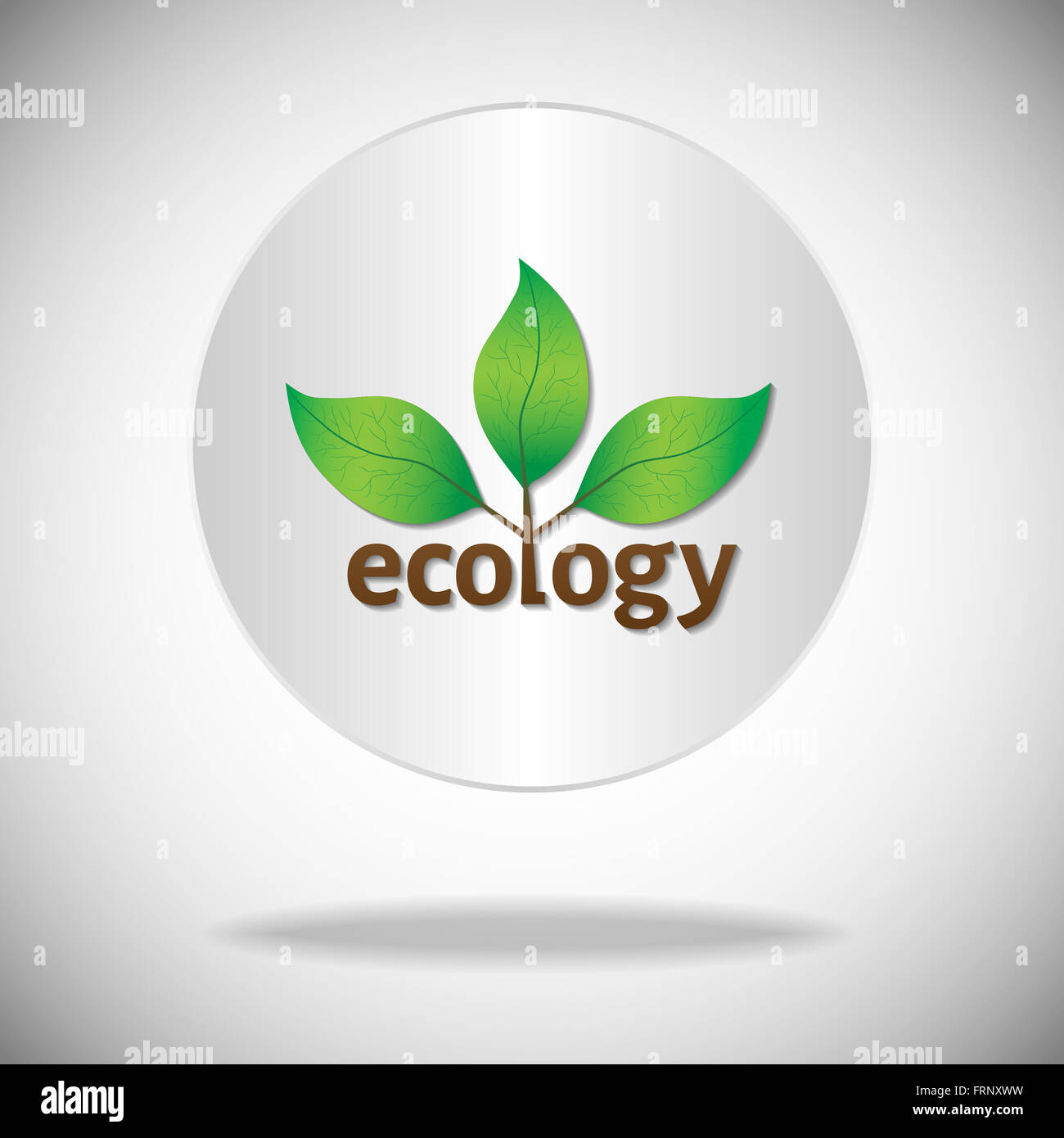Ecological or environmental icon or logo. Green leaves on a tree with ecology brown text on a white circle background. Stock Photo