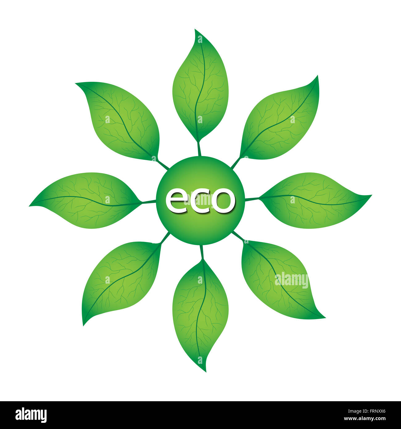 Ecological or environmental concept. Green leaves in a circle with ECO text on a white background. Stock Photo