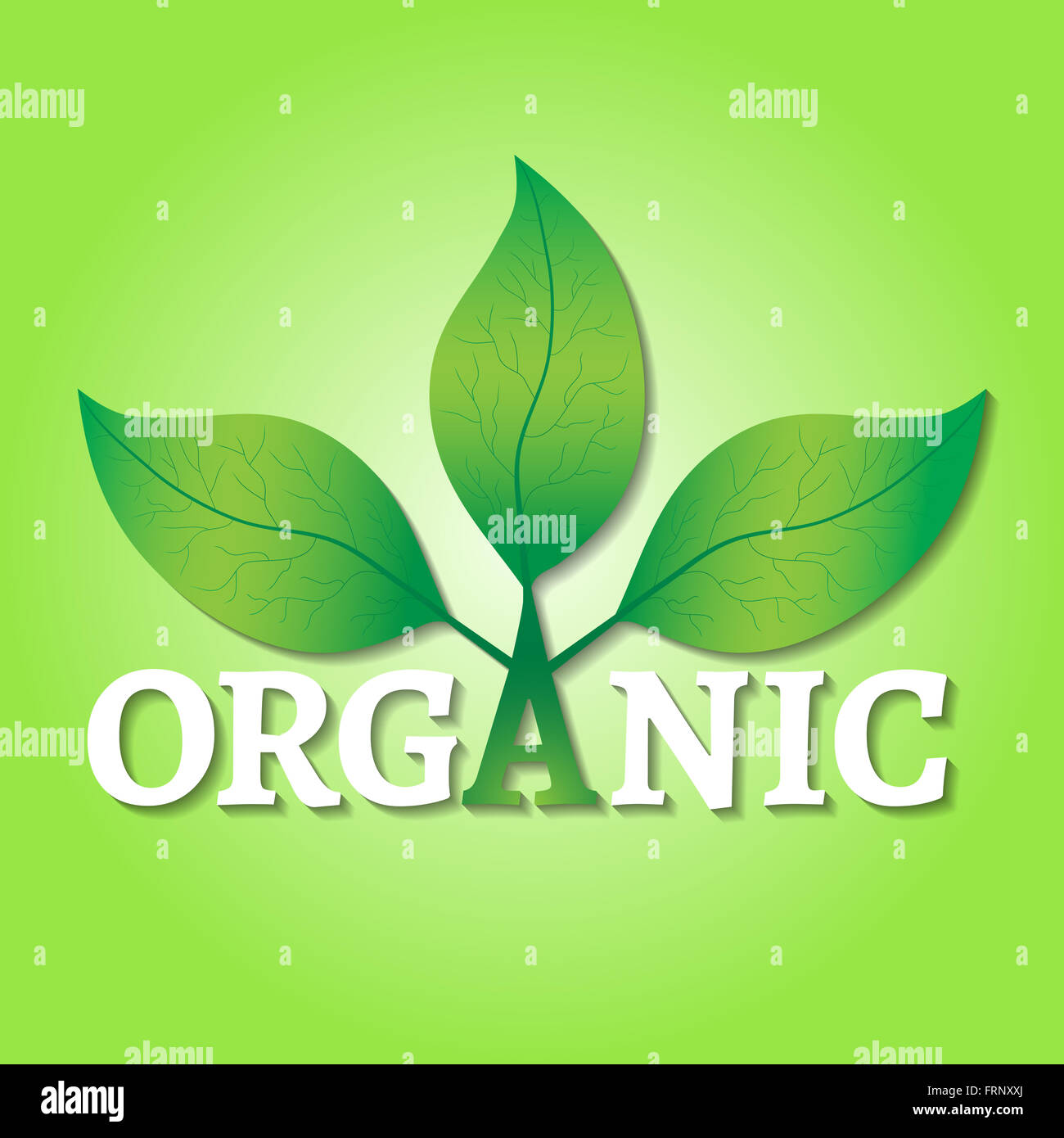 Organic concept or logo. Green leaves on a tree with organic text on a green background. Stock Photo
