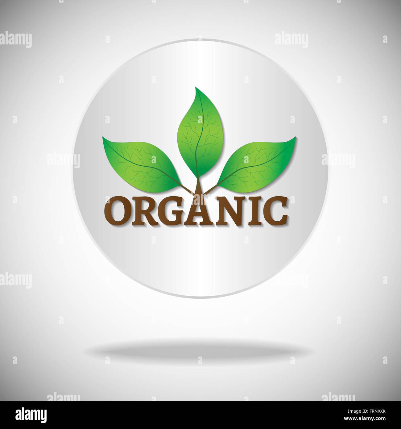 Organic icon or logo. Green leaves on a tree with organic text on a white circle background. Stock Photo