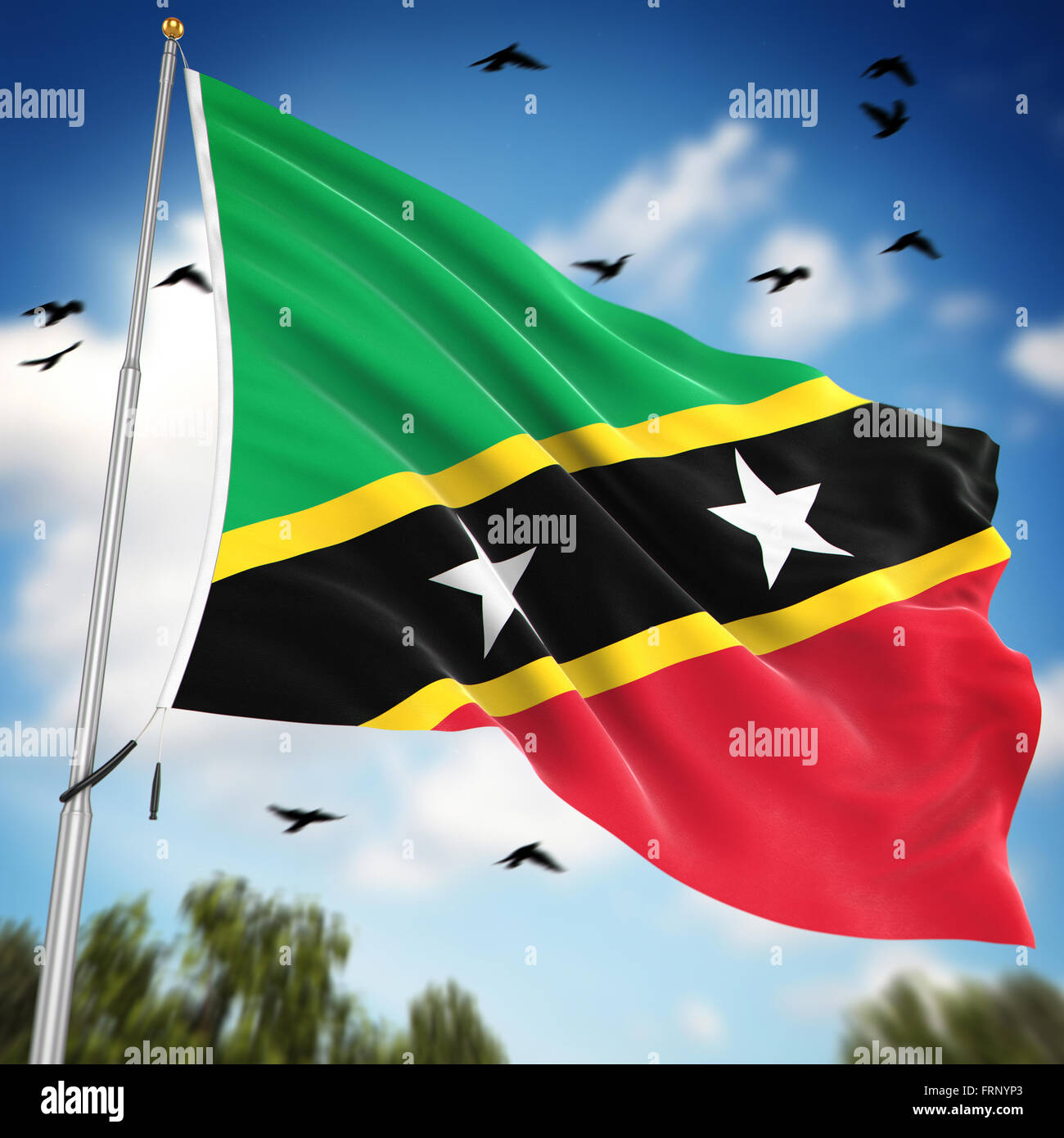 Flag of Saint Kitts and Nevis , This is a computer generated and 3d rendered image. Stock Photo