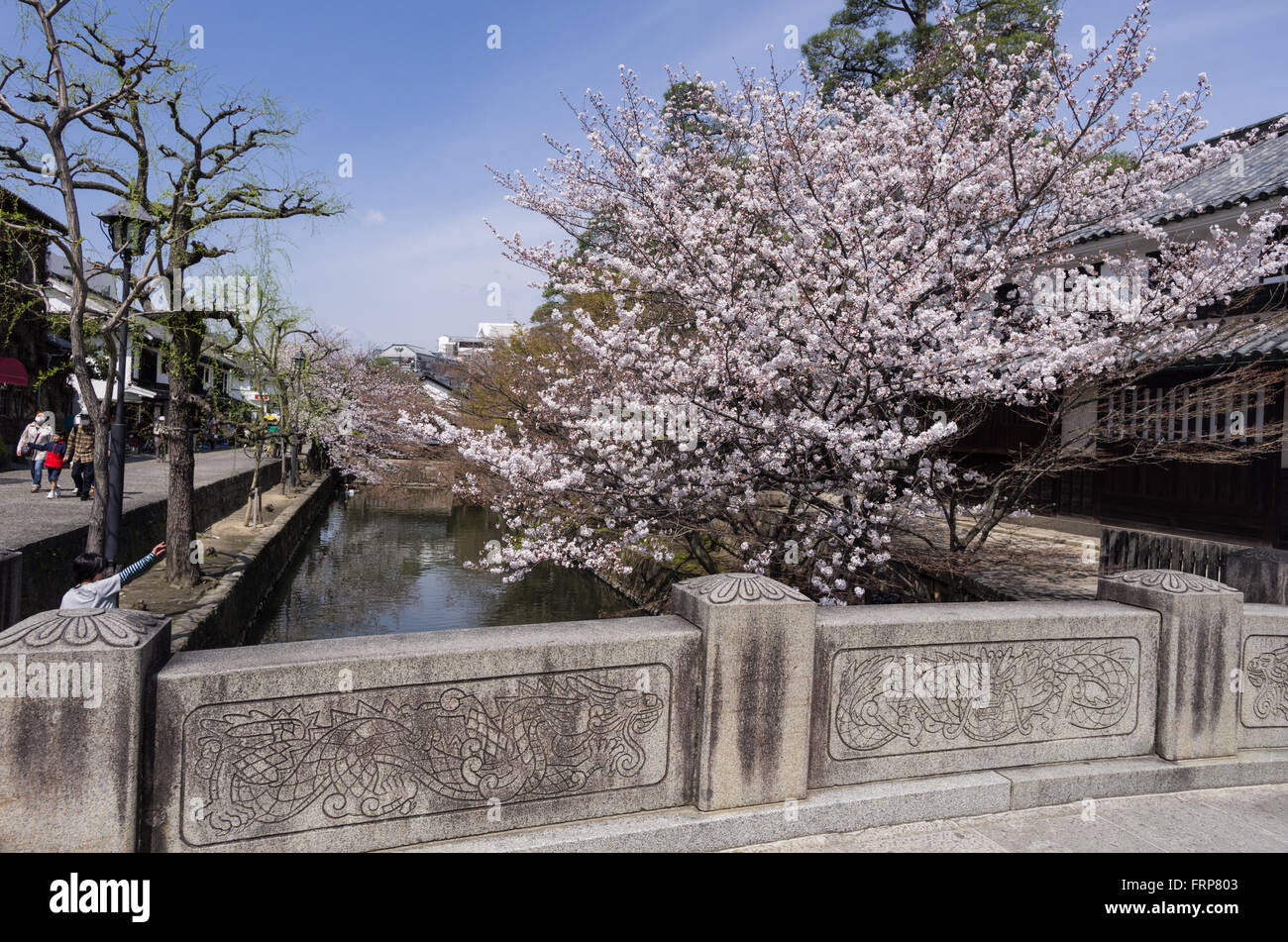 Canal Area with Cherry Blossoms in Bikan Historical Quarter, Kurashiki ...