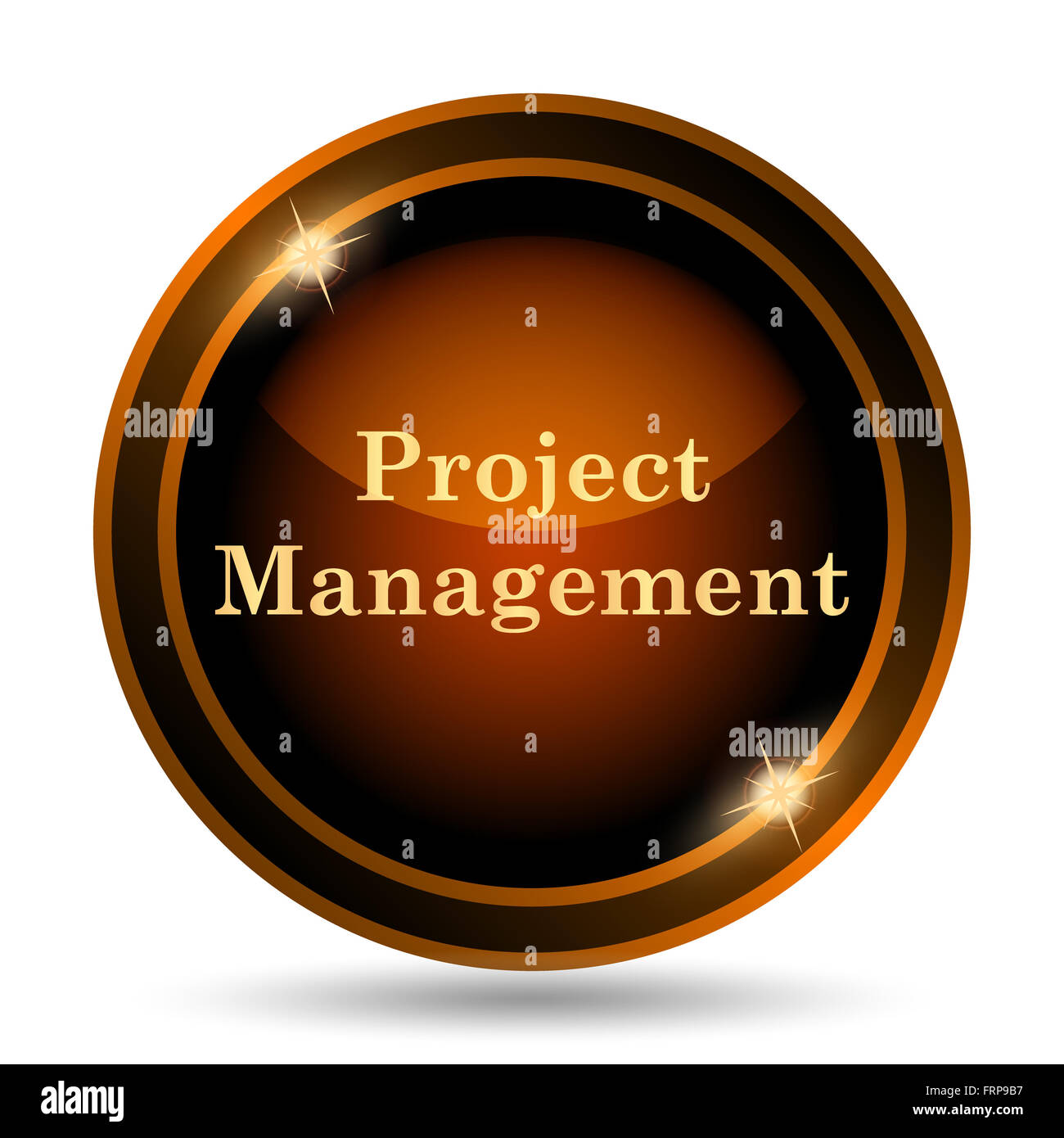 Project management icon. Internet button on white background Stock ... image.
