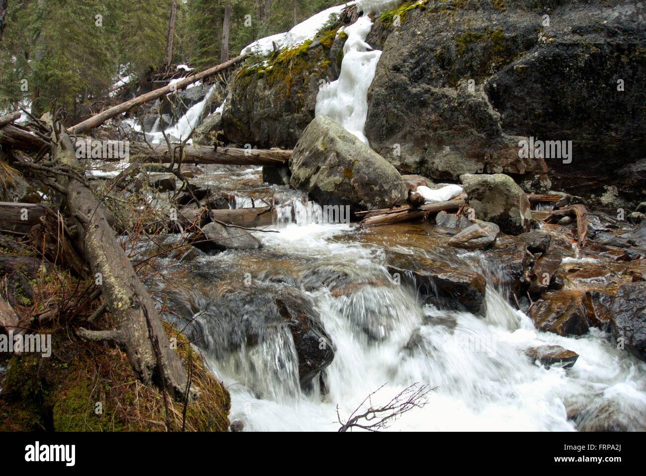 Lodgepole creek hires stock photography and images Alamy