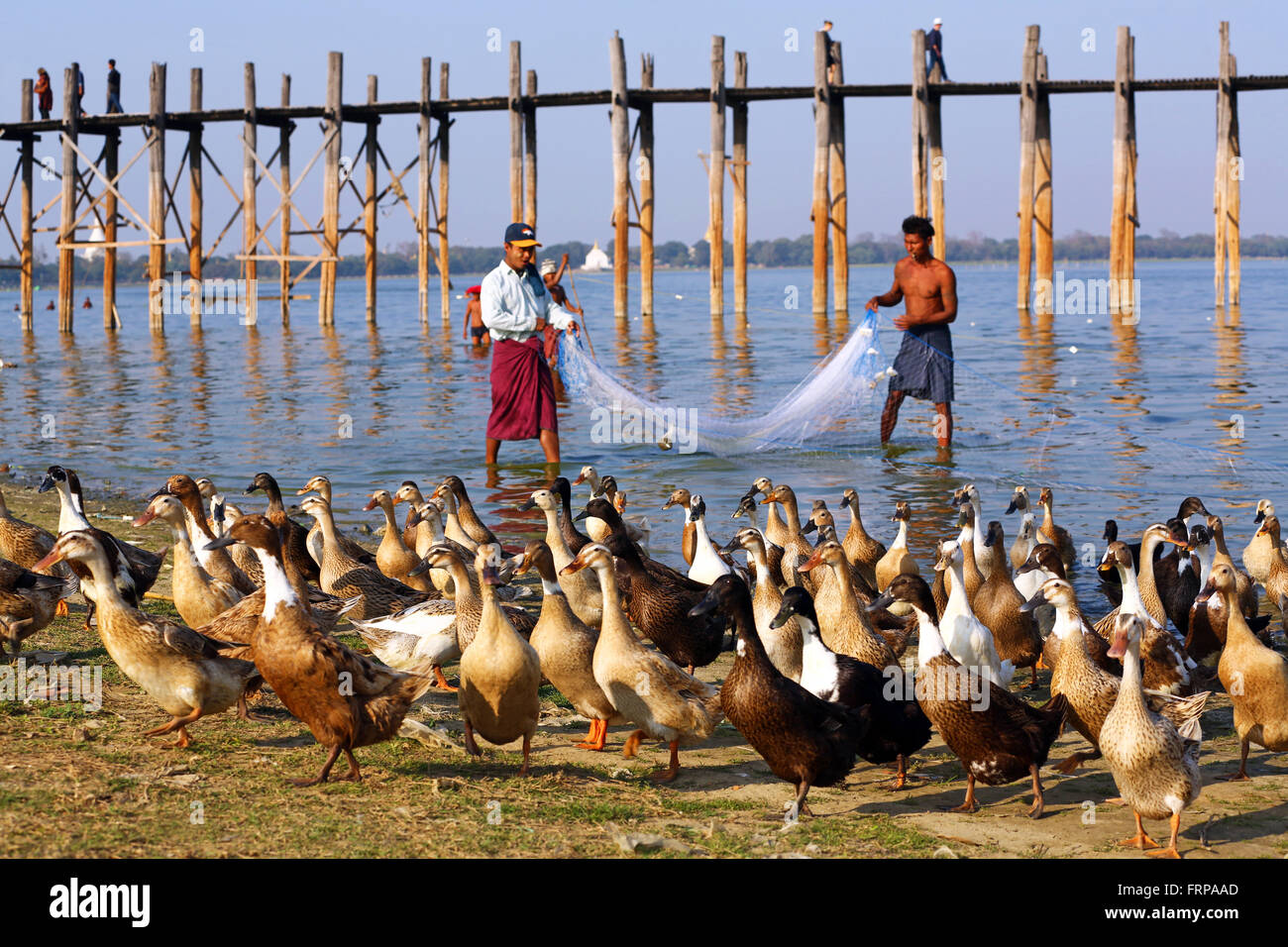 The U Bein Bridge across the Taungthaman Lake in Amarapura, Mandalay ...