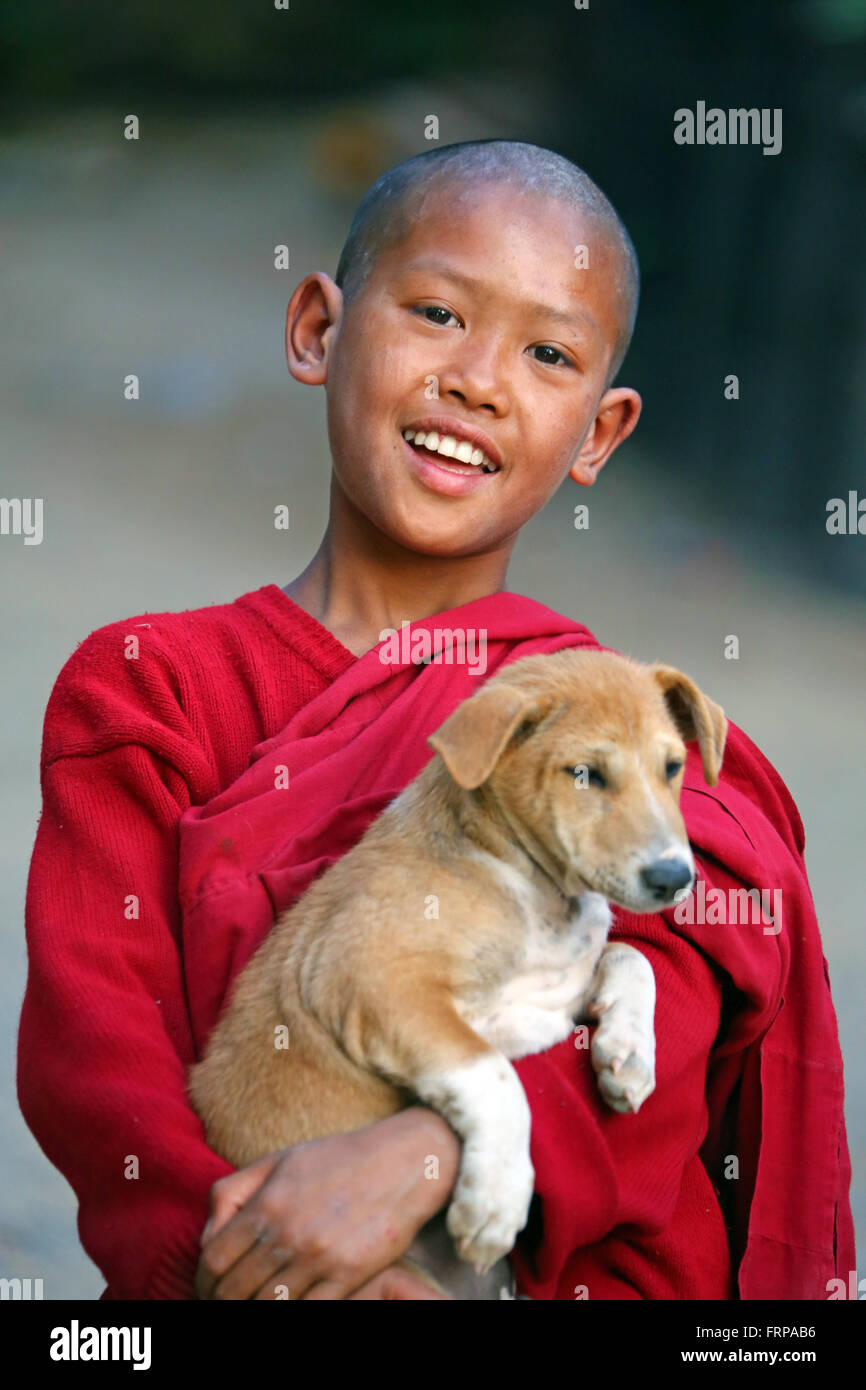 Tibetan monk sale dog