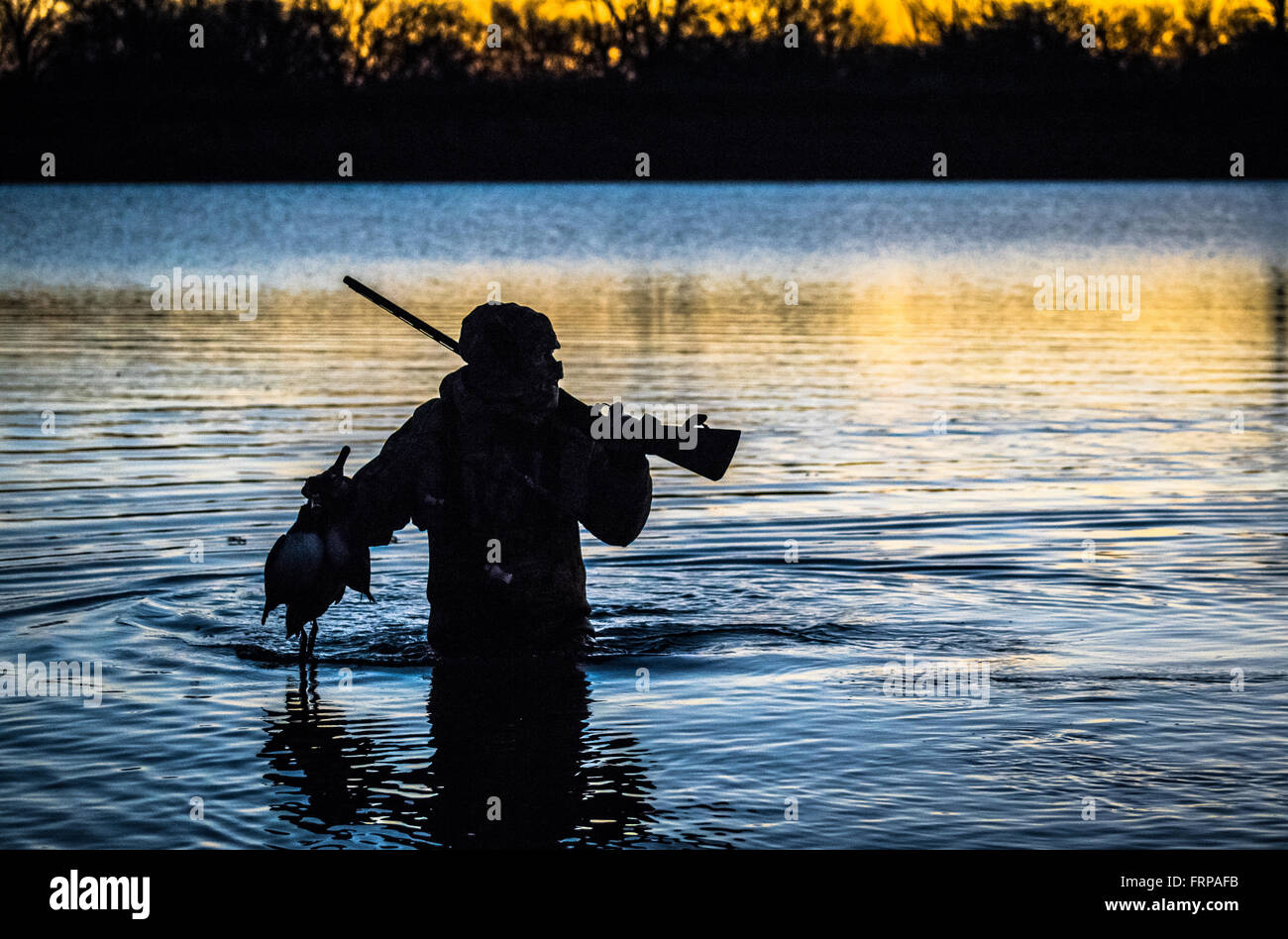 Duck hunter silhouette hires stock photography and images Alamy
