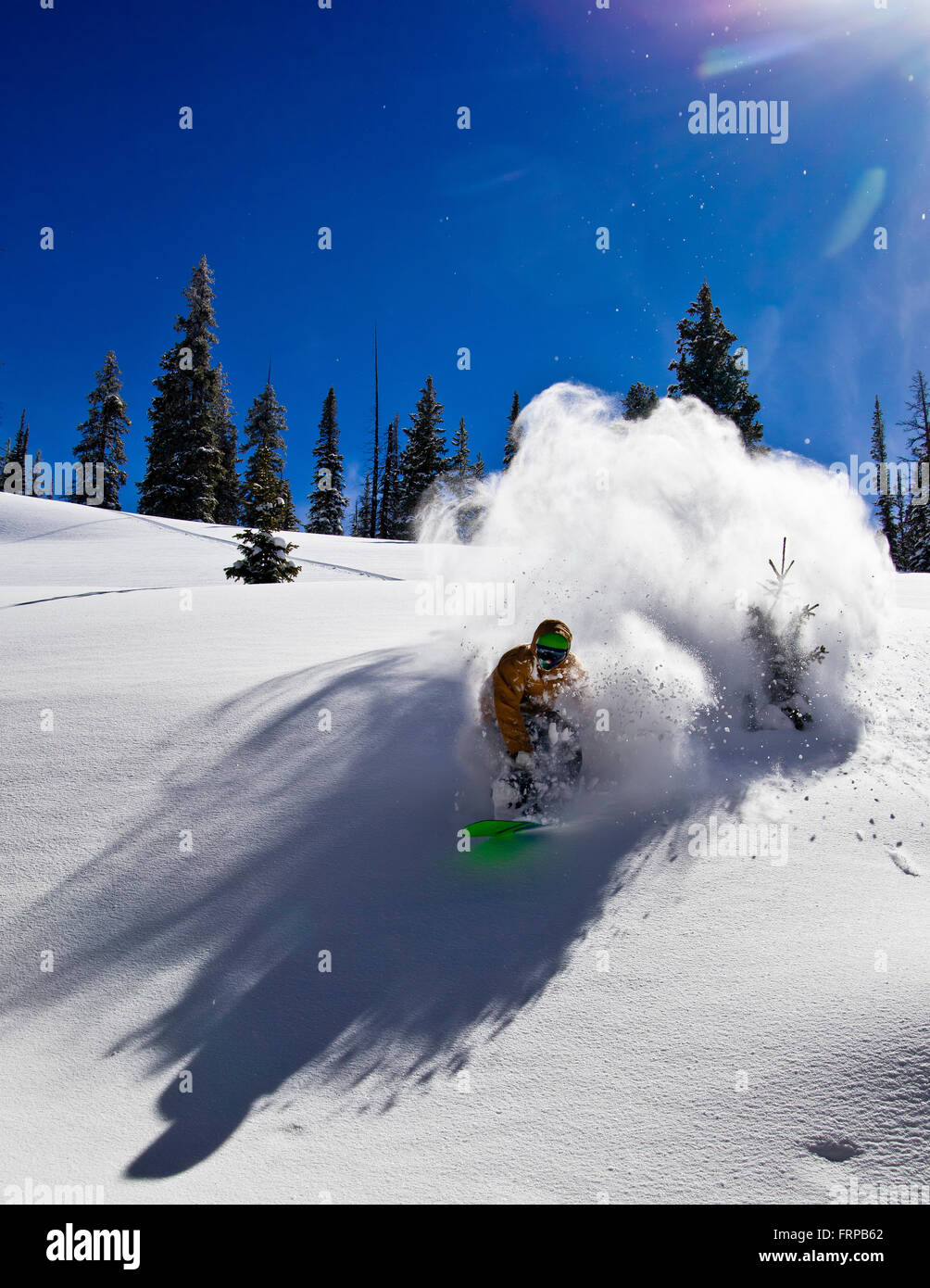 Powder Snowboarding Stock Photo