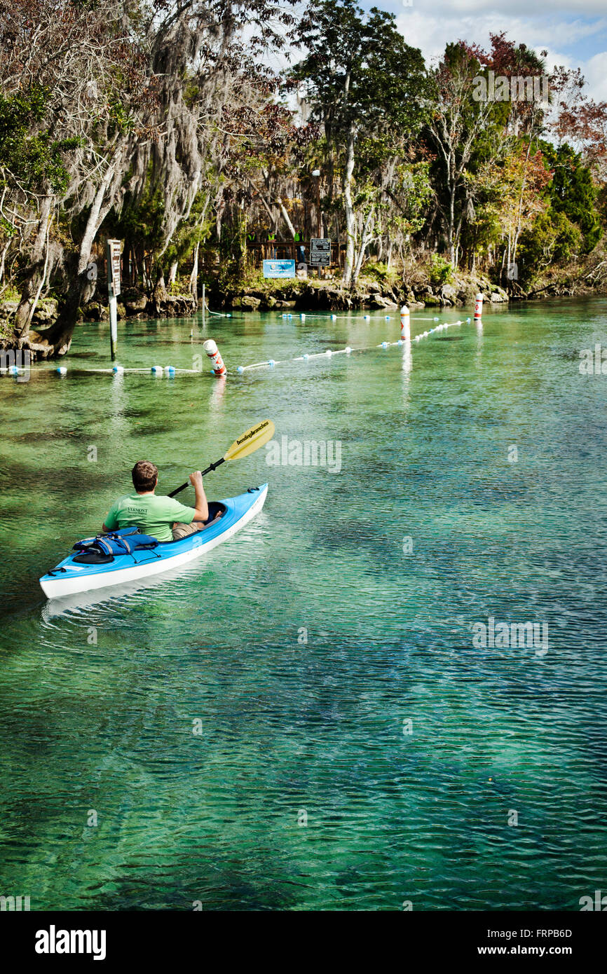 Crystal Springs, Florida, USA. A man looks for manatee while paddling a