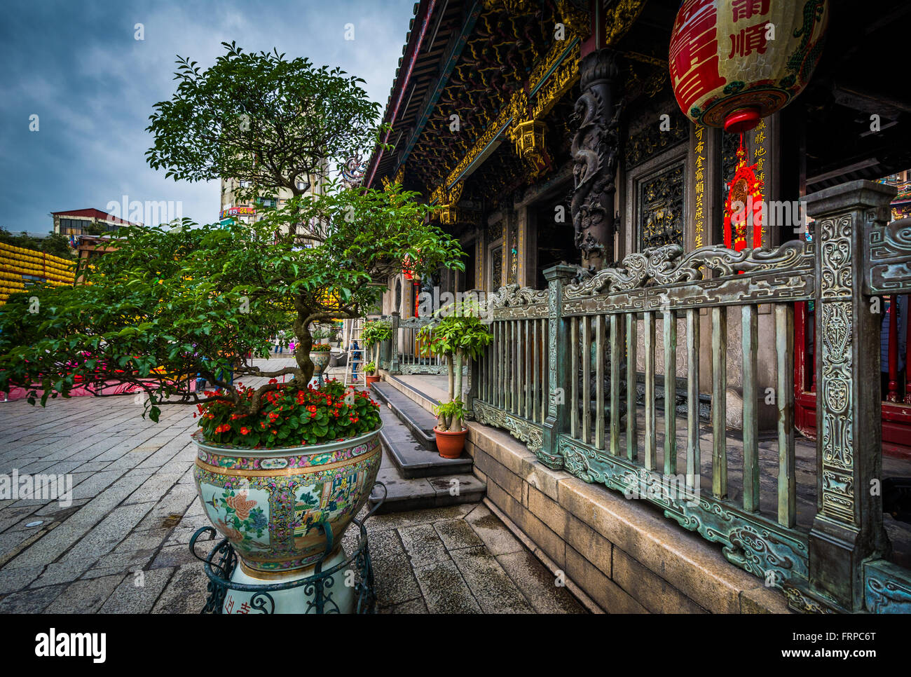 Tree and the exterior of Longshan Temple, in Taipei, Taiwan. Stock Photo