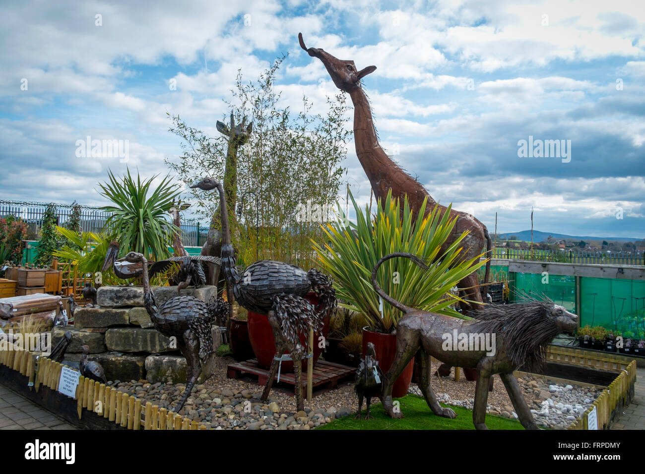 A collection of garden ornaments large steel giraffes lions and ostriches statues in a suburban garden centre Stock Photo