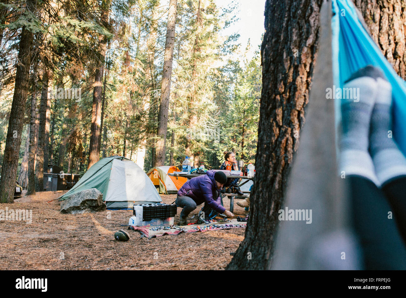 Climbers organizing gear at a campground in Yosemite Stock Photo Alamy