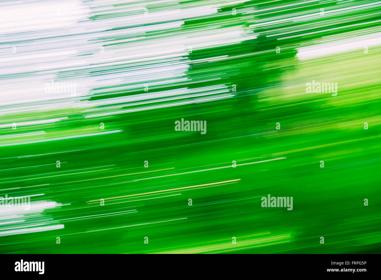Light Abstract Natural Green Motions Background. Stock Photo