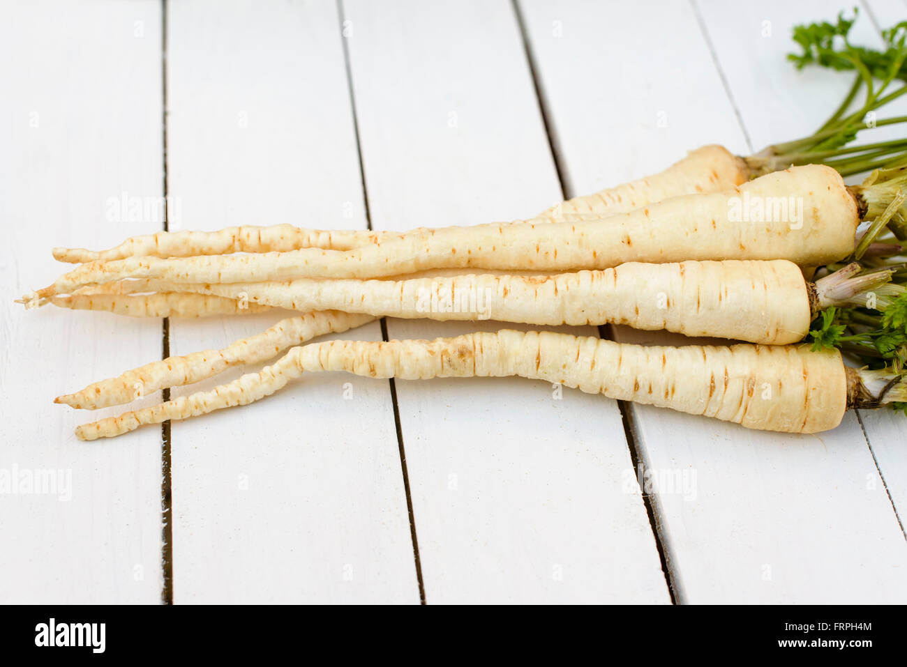 Parsley root root parsley hires stock photography and images Alamy