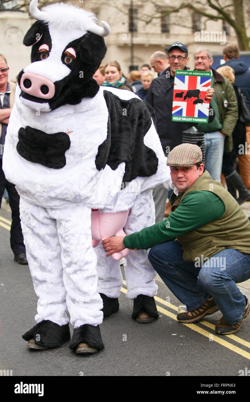 London, UK. 23rd March, 2016. Over 1000 farmers from across the country march in London to urge the Government to do more to help Britain's struggling farmers. Credit:  Dinendra Haria/Alamy Live News Stock Photo