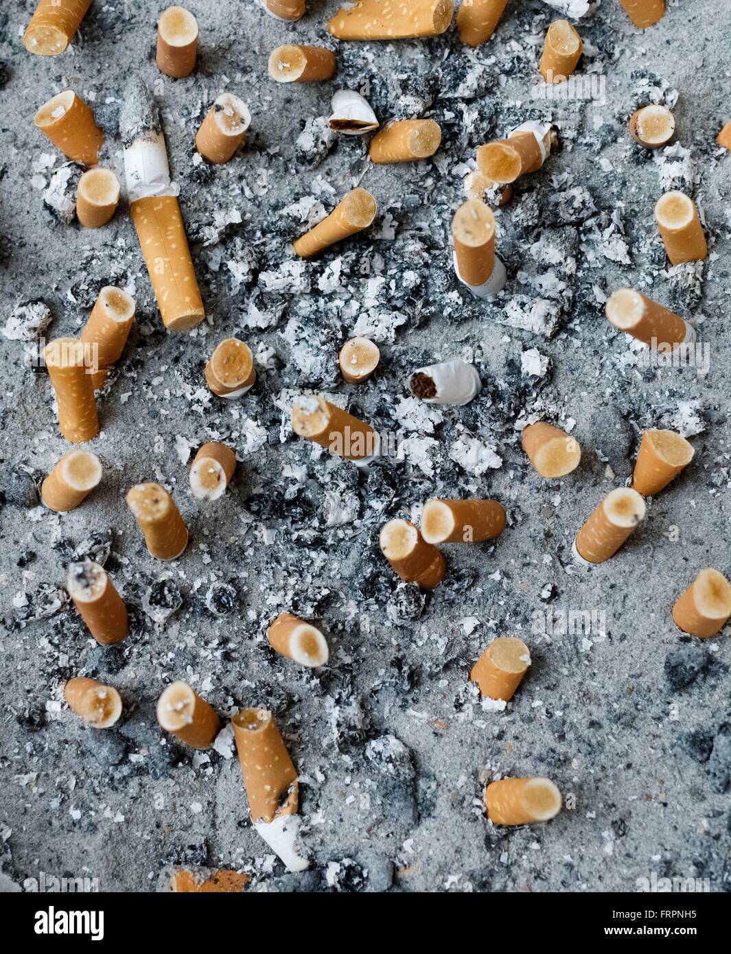 Cigarette butts in an ashtray Stock Photo