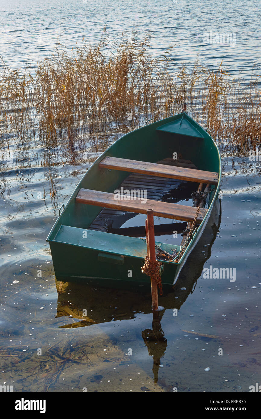 Flooded boat in reeds at the lake shore Stock Photo Alamy