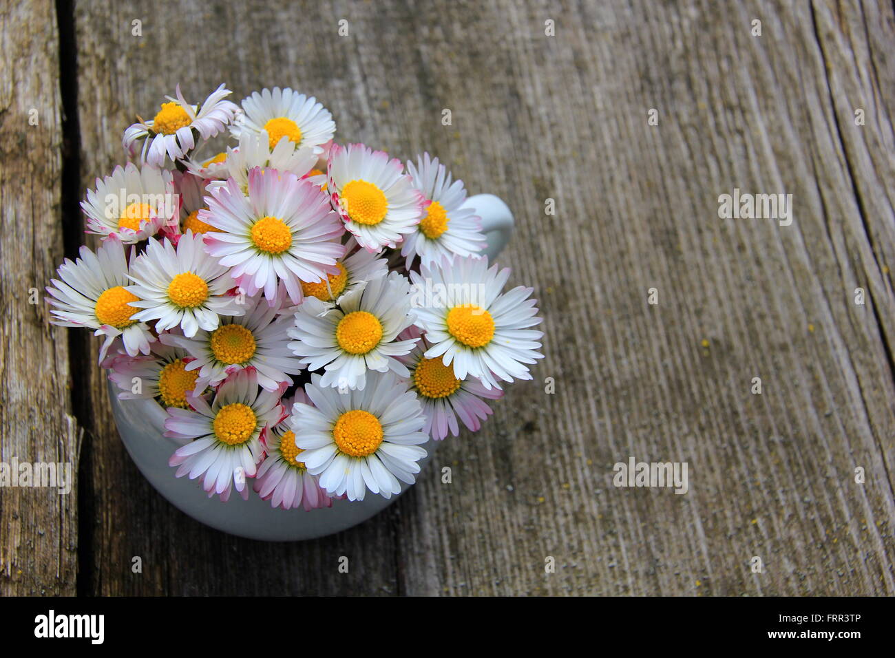 Daisies in a white cup on a wooden background Stock Photo