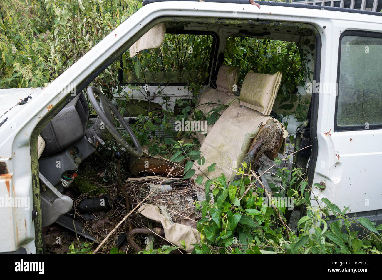 CAR ABANDONED FULL OF GRASS Stock Photo