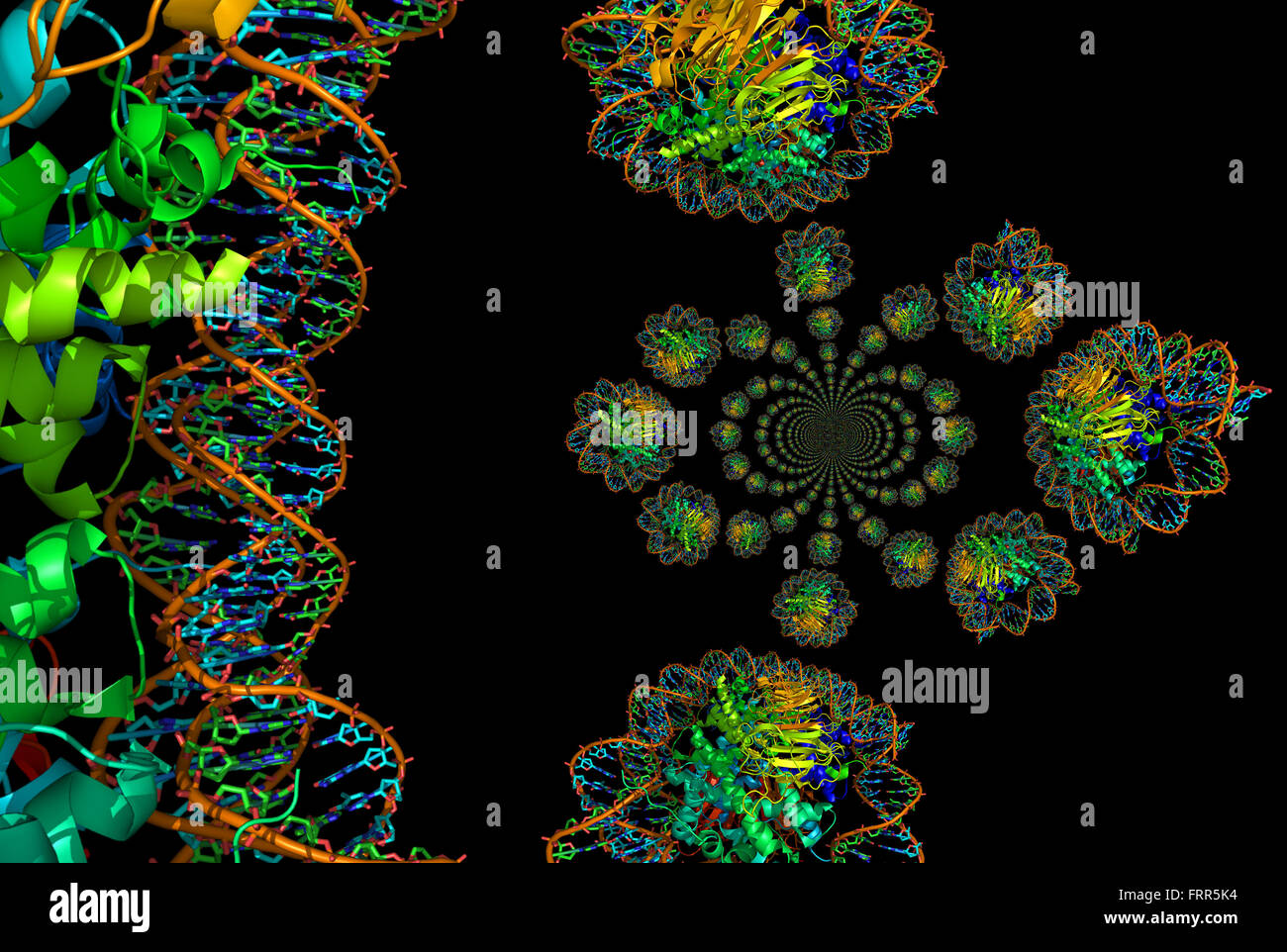 A high resolution raytraced model of nucleosomes. Isolated on black