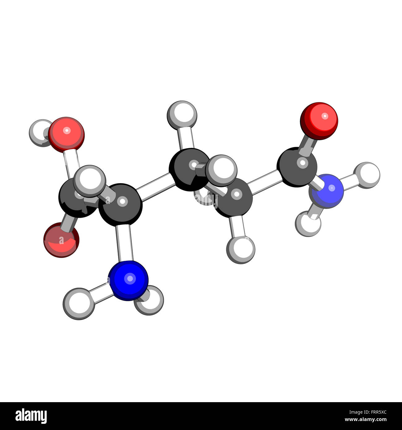 Amino acid glutamine molecular structure on a white background Stock