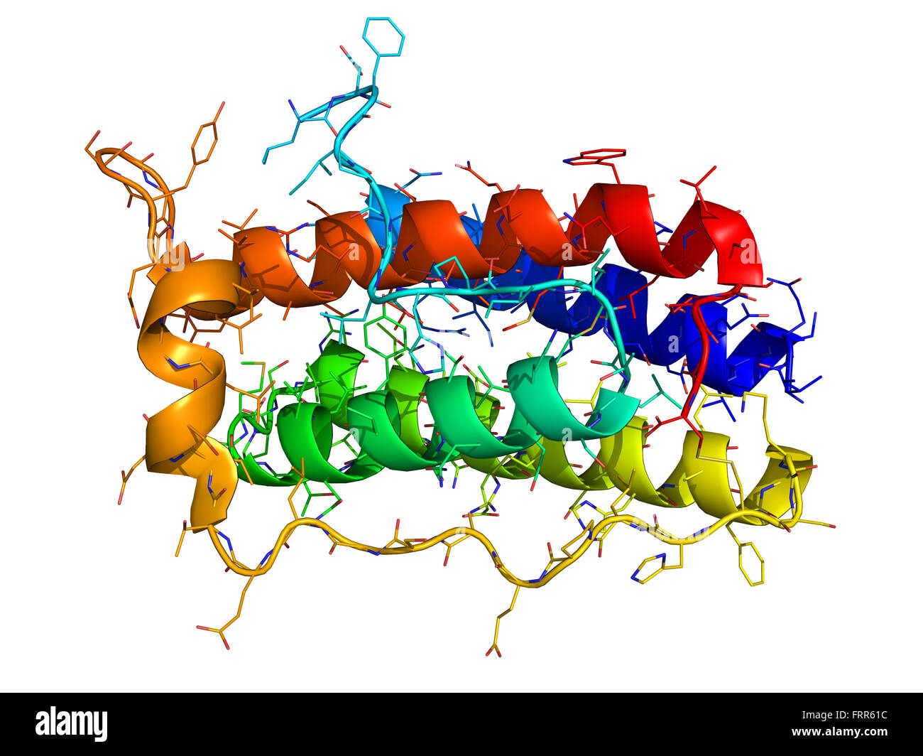 Leptin, the human obesity protein that regulates an appetite. 3D molecular structure Stock Photo