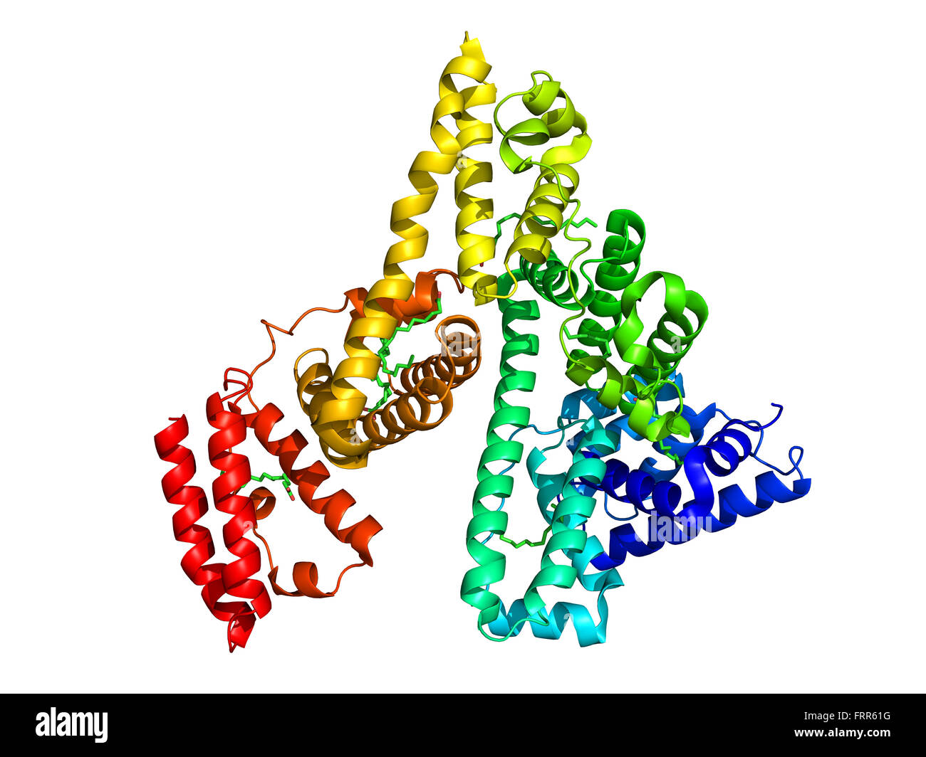 Serum albumin molecular structure on a white background Stock Photo