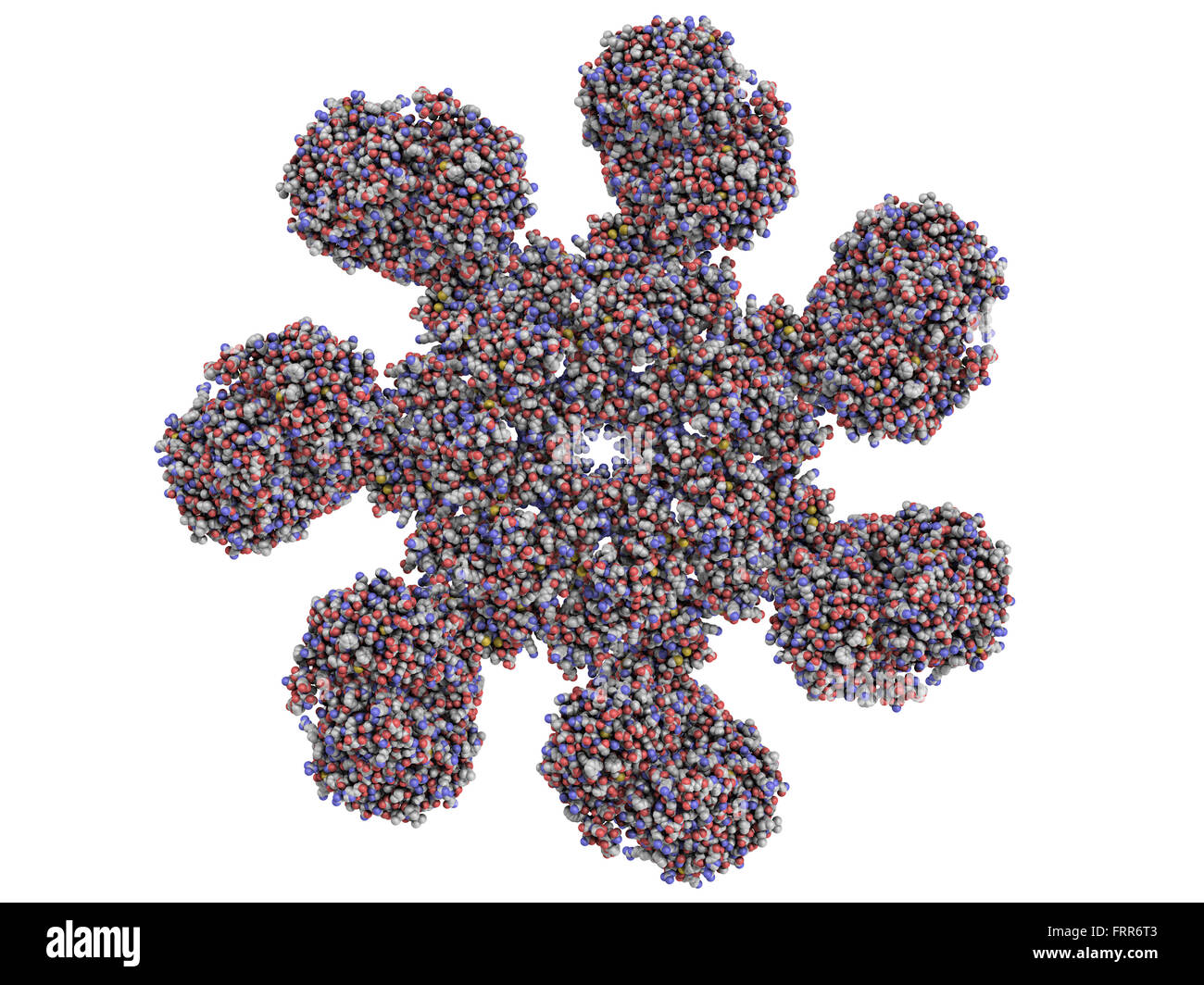apoptosome is a large quaternary protein structure formed in the process of apoptosis (programmed cell death) Stock Photo