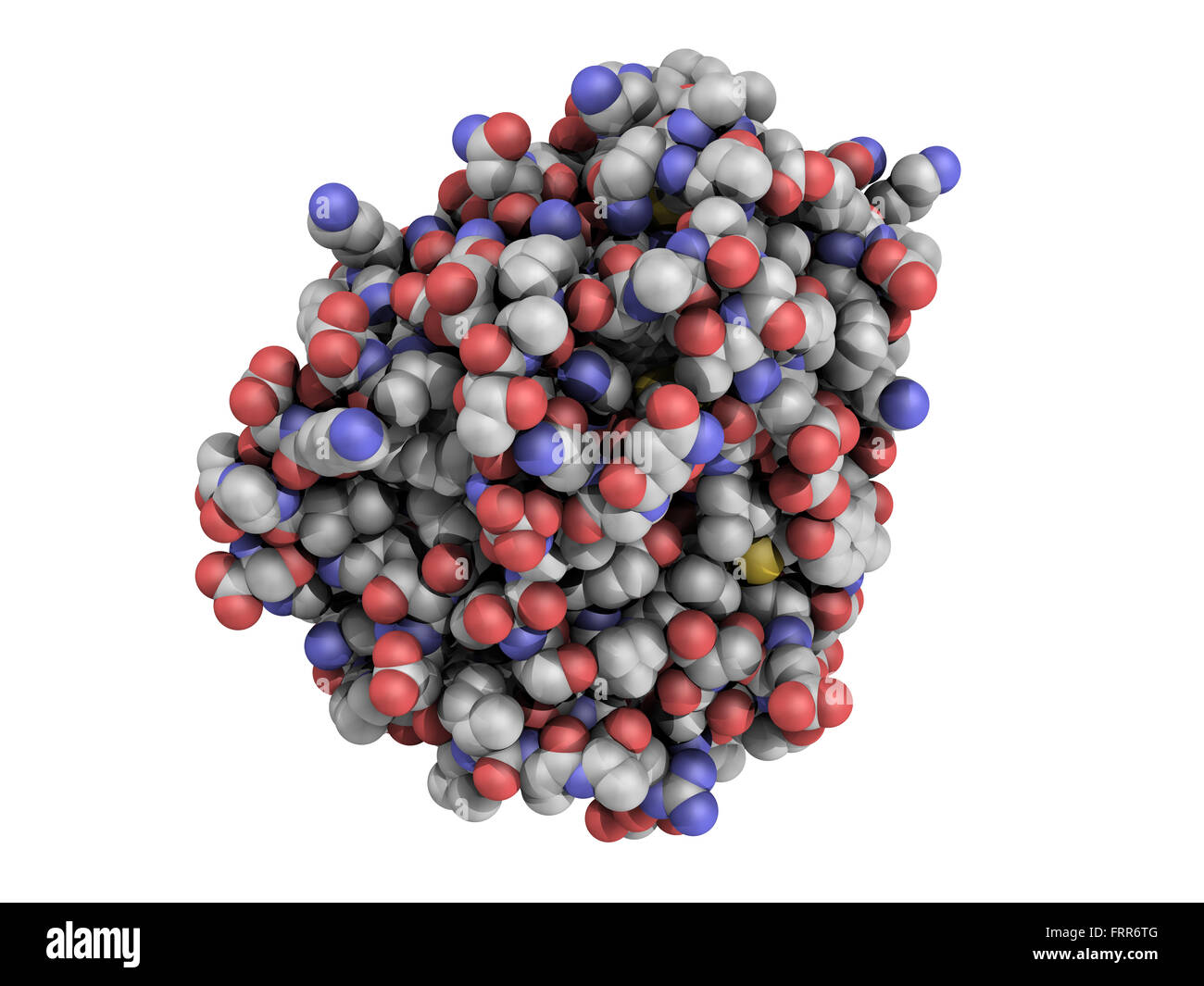 Trypsin digestive enzyme molecule (human), chemical structure. Trypsin is an enzyme that contributes to the digestion of protein Stock Photo