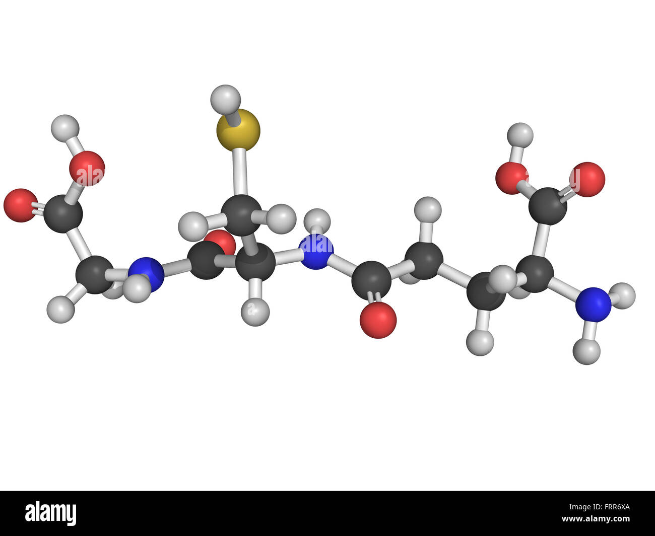 Chemical structure of glutathione, an antioxidant, preventing damage to important cellular components caused by reactive oxygen Stock Photo