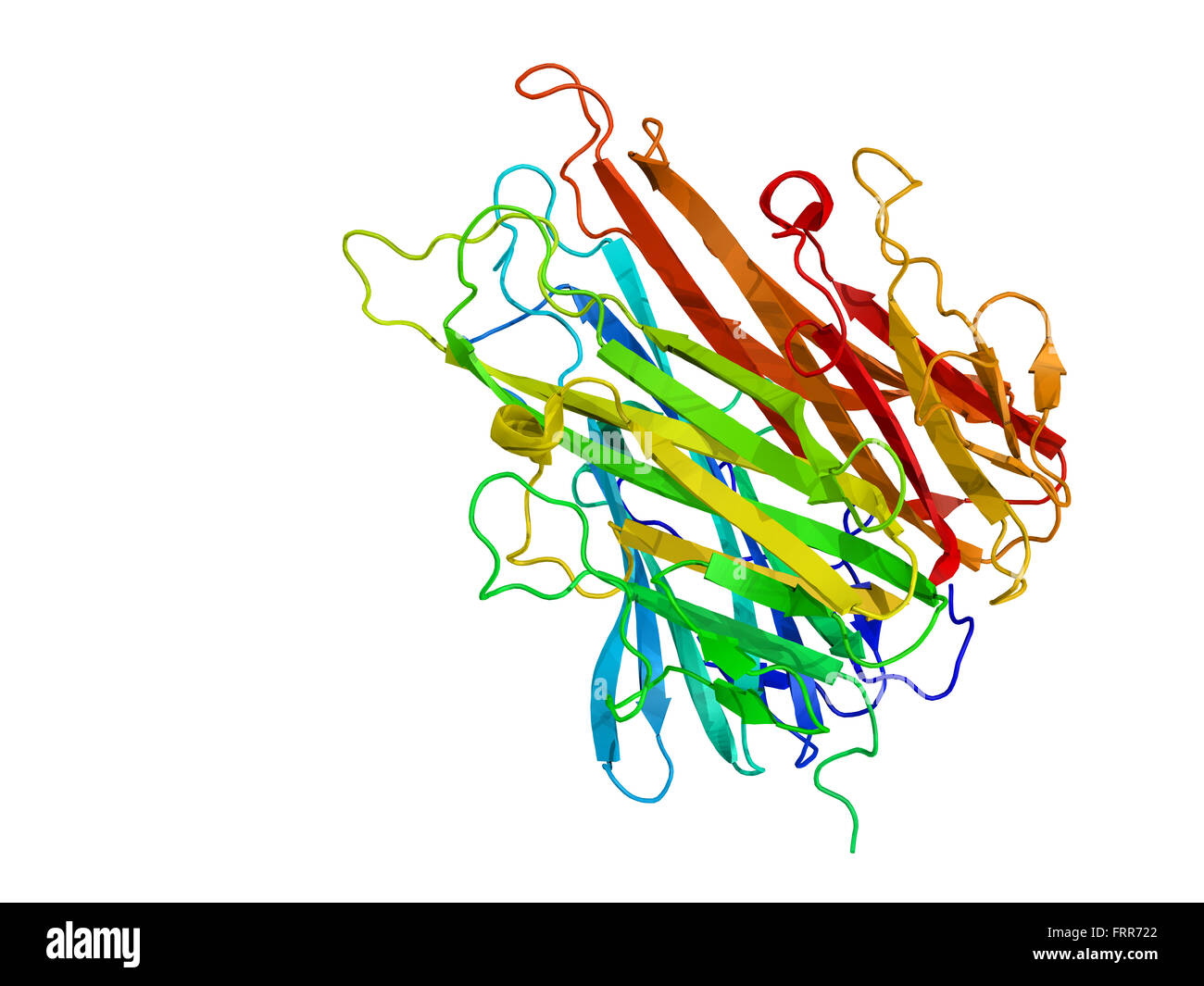 Tumor necrosis factor (TNF, cachexin, cachectin) protein, a cytokine that plays an important role in inflammation and immunity. Stock Photo