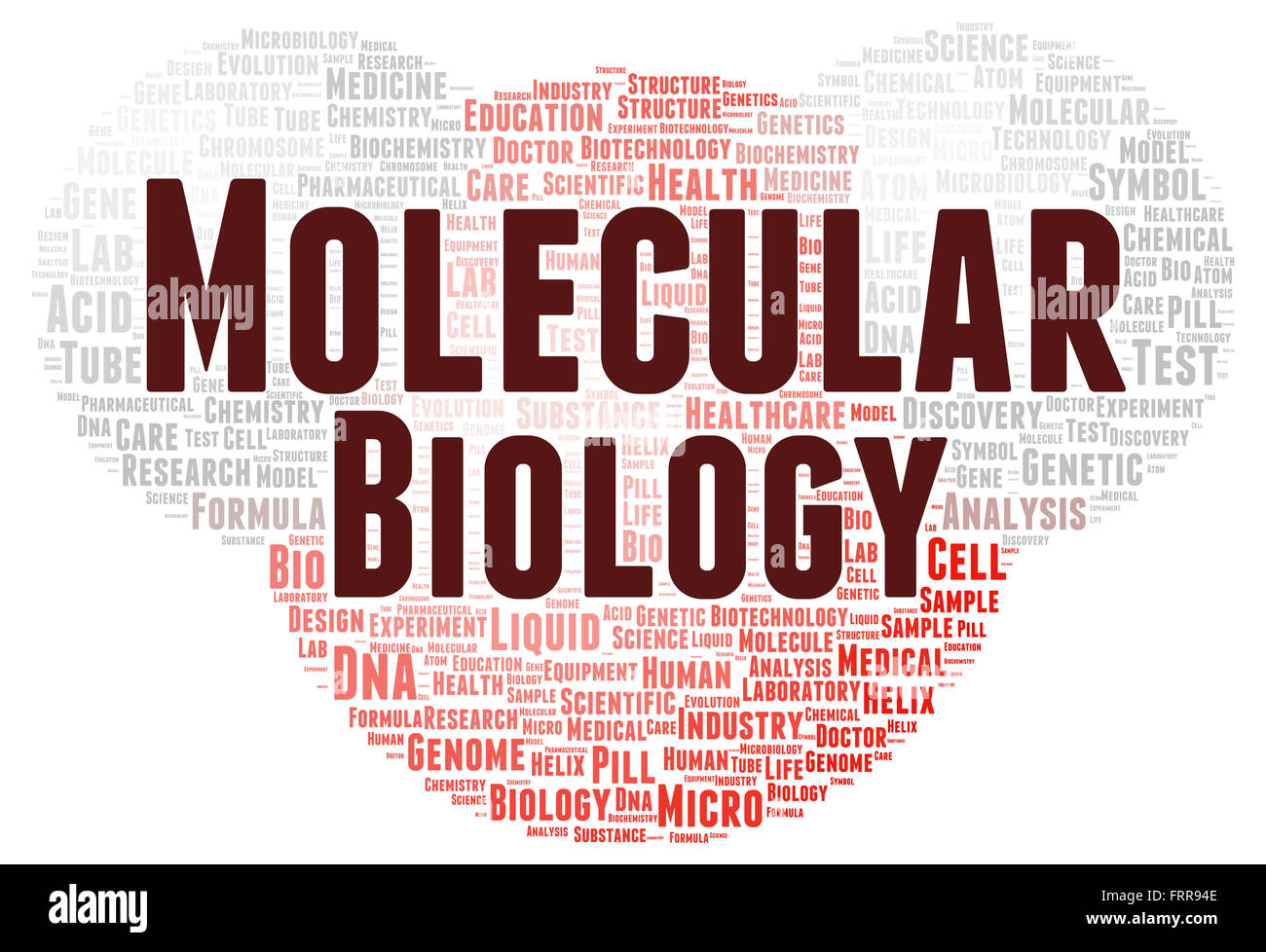 Molecular biology word cloud shape concept Stock Photo