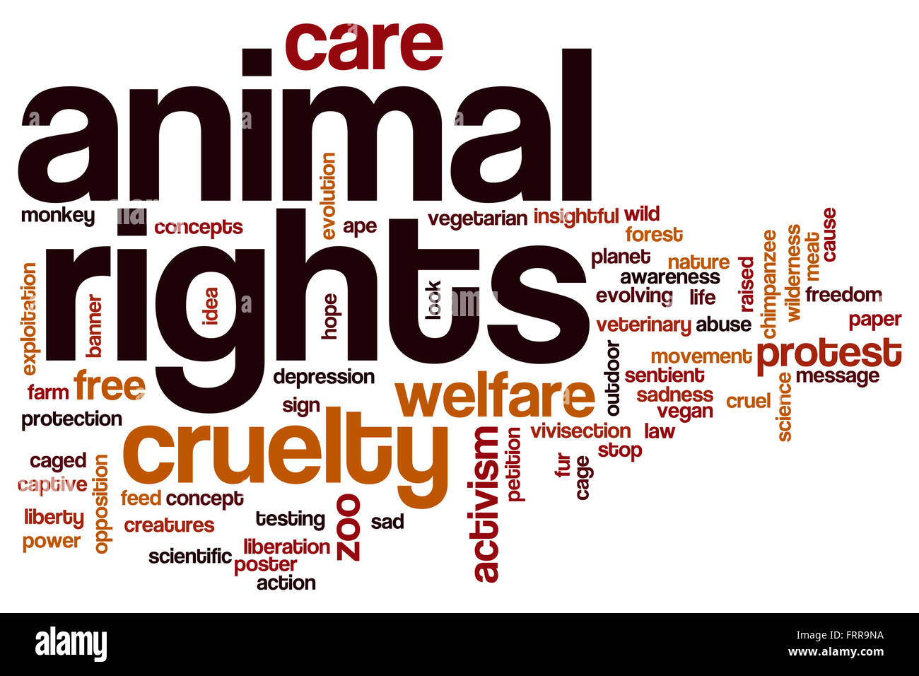 Animal rights word cloud concept Stock Photo