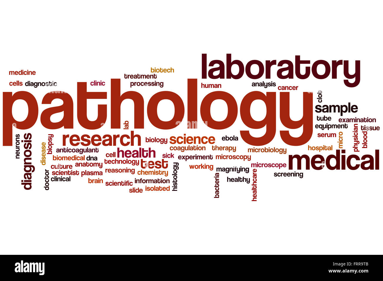 Pathology word cloud concept Stock Photo