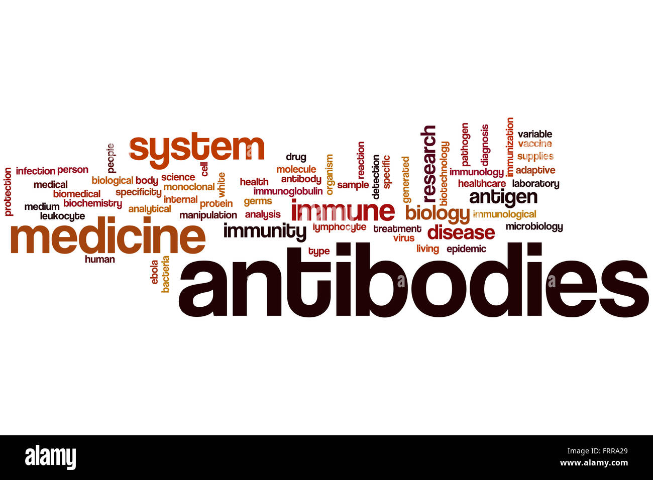 Antibodies word cloud concept Stock Photo