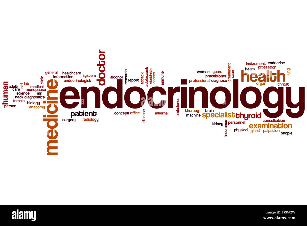 Endocrinology word cloud concept Stock Photo