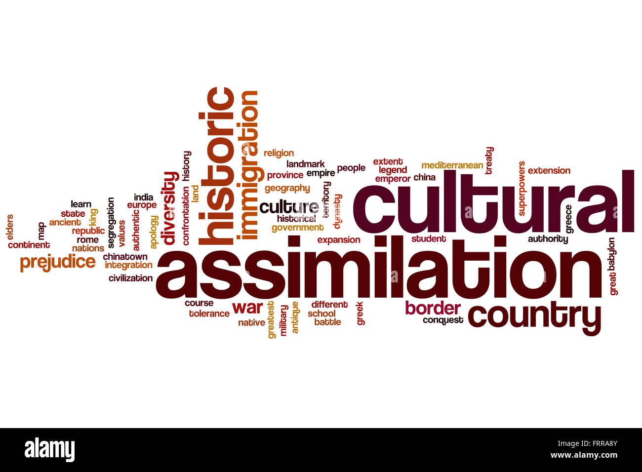 assimilation definition history
