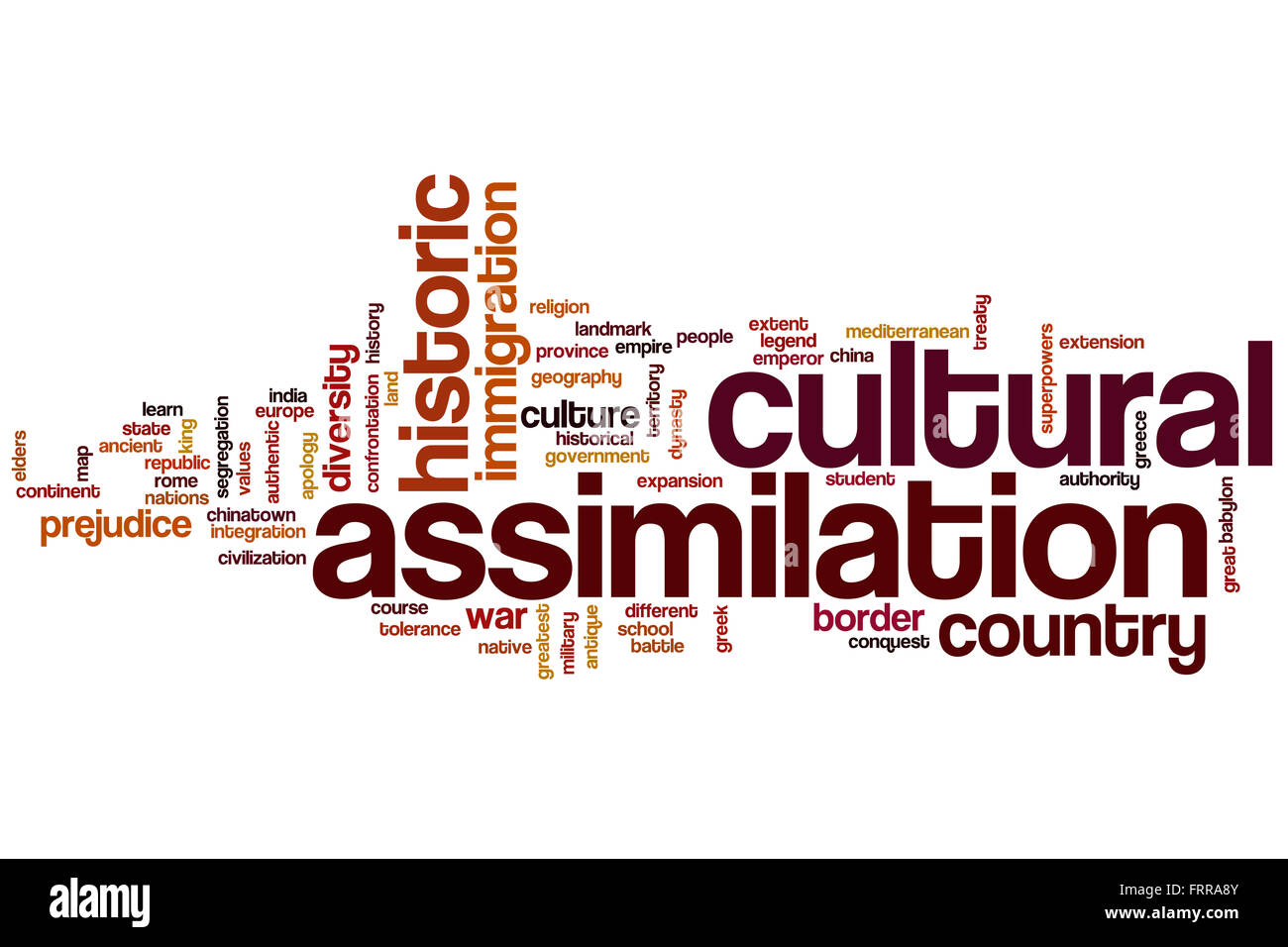 Assimilation Definition History