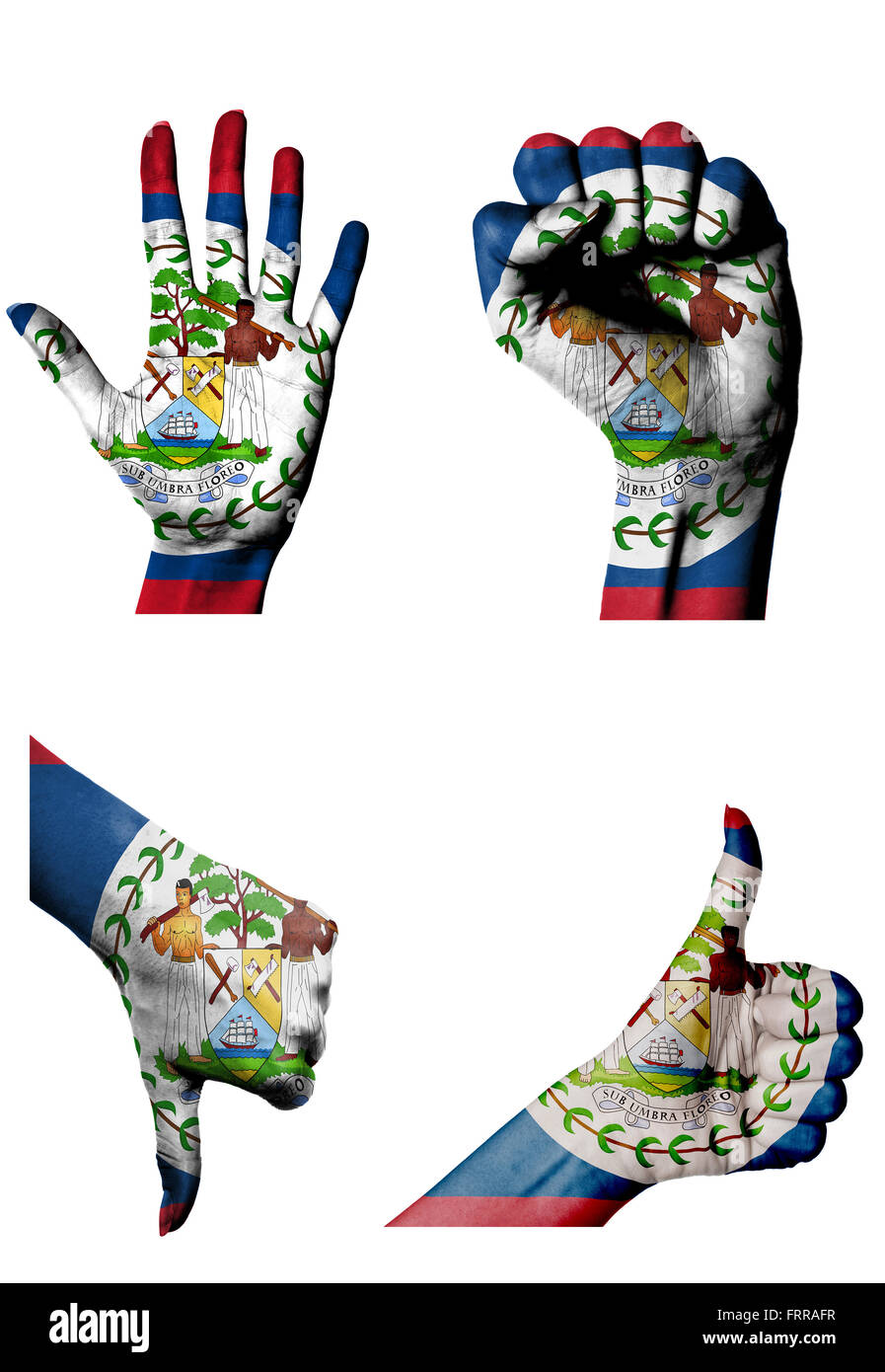 hands with multiple gestures (open palm, closed fist, thumbs up and down) with Belize flag painted isolated on white Stock Photo
