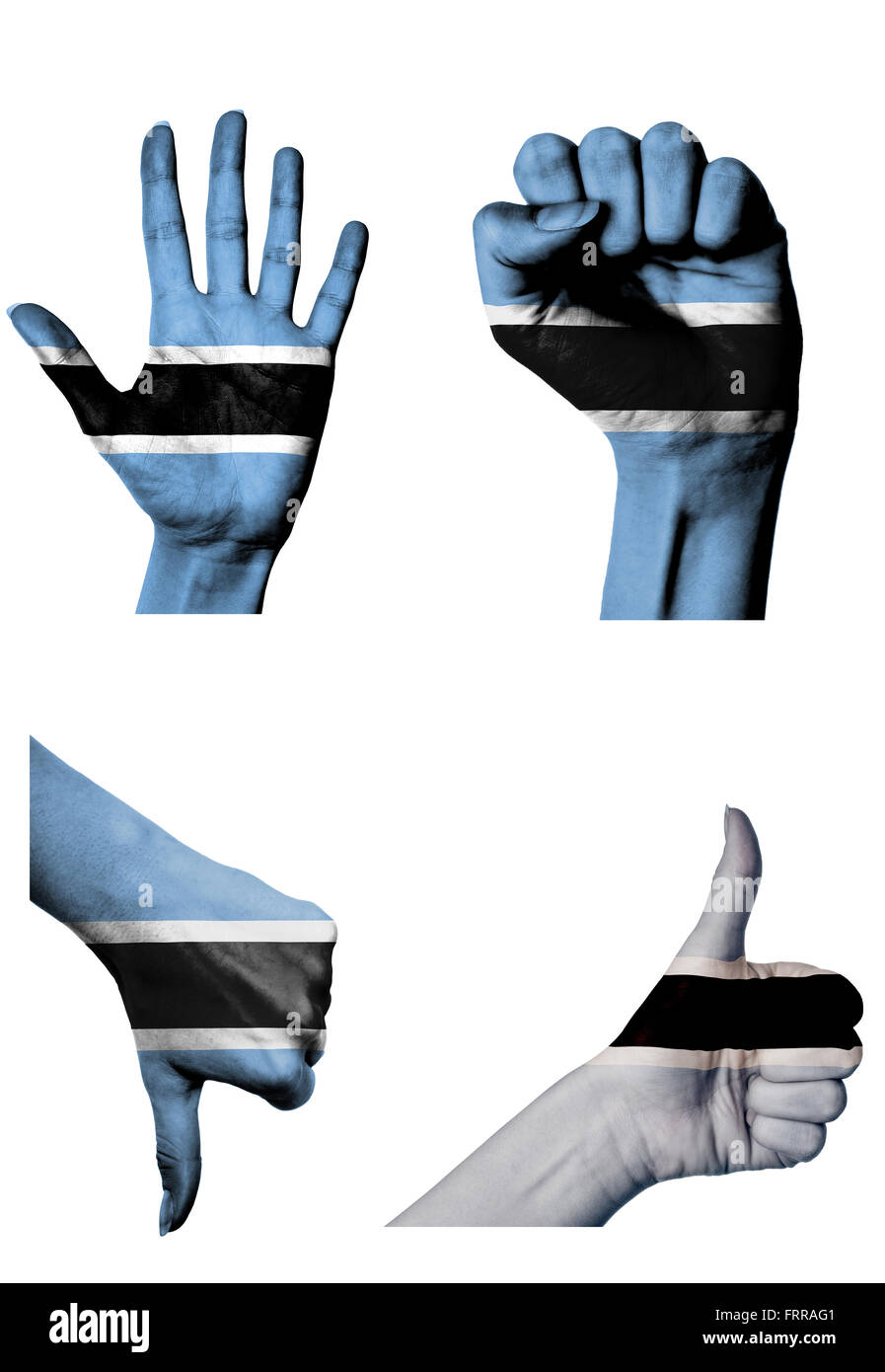 hands with multiple gestures (open palm, closed fist, thumbs up and